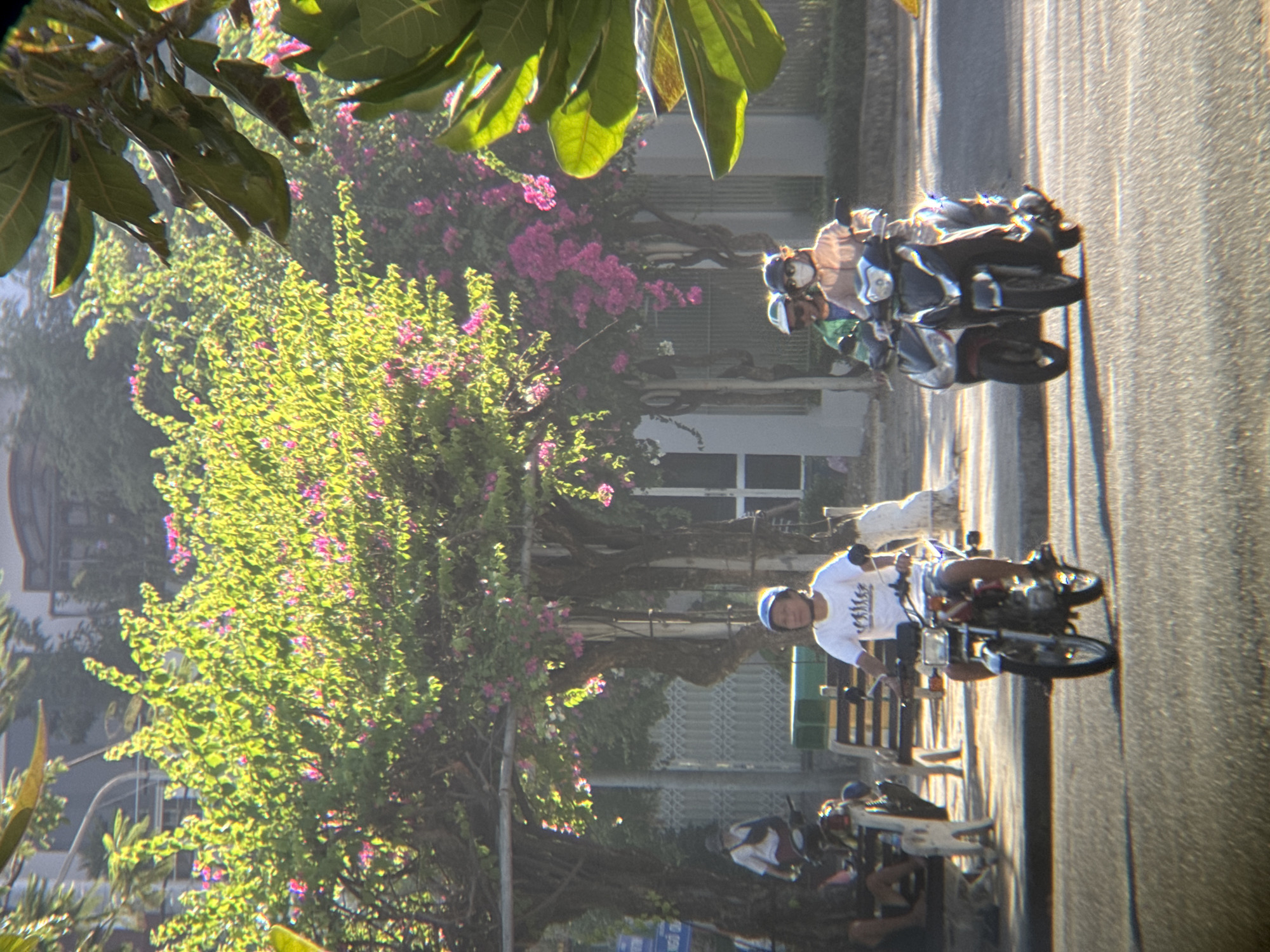 The image captures a street scene in Nha Trang, Vietnam, during daylight hours, likely in the late afternoon given the warm, golden light casting long shadows and highlighting the lush greenery. In the foreground, two motorcycles are moving along the asphalt road. The front motorcycle is ridden by a person wearing a white t-shirt and a blue helmet, with their hands on the handlebars. The second motorcycle, to the right and slightly behind, carries two individuals. The driver wears a green jacket and a white cap, while the passenger is dressed in an orange outfit and a white mask, with their hands resting on the driver's shoulders.
Behind the road, a sidewalk is visible with several elements: a white bench with dark slats, a lamppost, and a person in a white shirt and hat walking away from the camera, carrying a bag. Further back, trees with dense green foliage and clusters of vibrant pink flowers create a colorful backdrop, suggesting a tropical or subtropical environment. In the distance, buildings are partially obscured by the trees and atmospheric haze, typical of a warm climate. The overall impression is one of a busy urban street with everyday activities taking place under a bright sun.