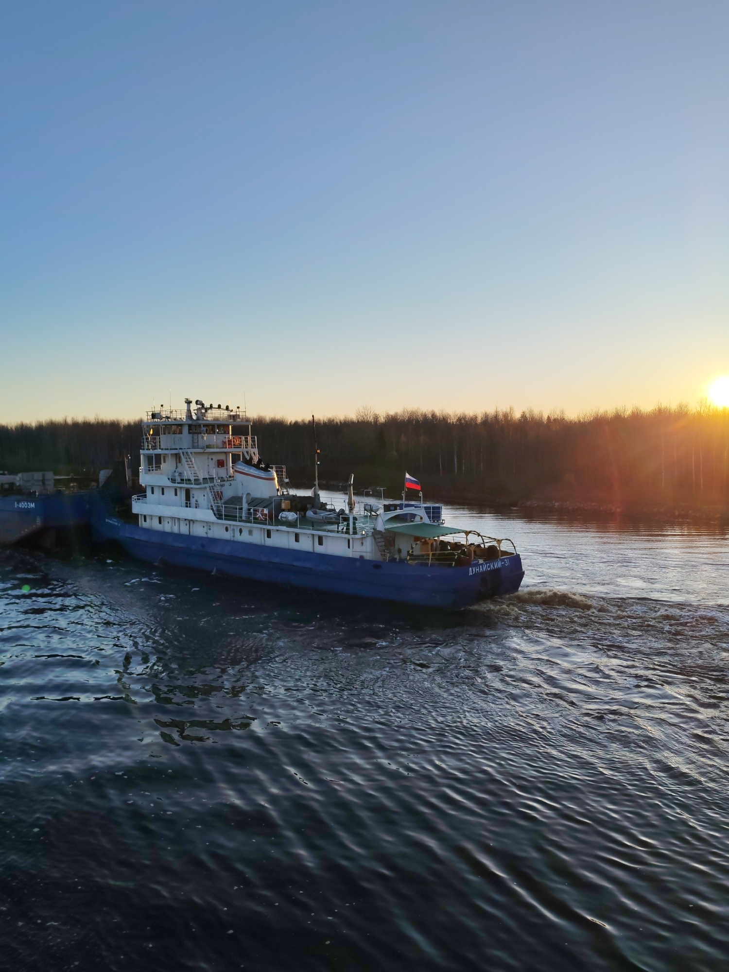 The image depicts a tugboat, labeled "ДУНАЙСКИЙ-31" (DUNAYSKIY-31), moving through water, likely a river or canal. A barge, partially visible on the left side of the frame, is attached to the tugboat. The scene is illuminated by the setting sun, which is visible through trees on the right bank. The Russian flag is on the vessel. Based on the name “ДУНАЙСКИЙ-31”, likely the tugboat is on the water body where Kurdiug, Russia is located.