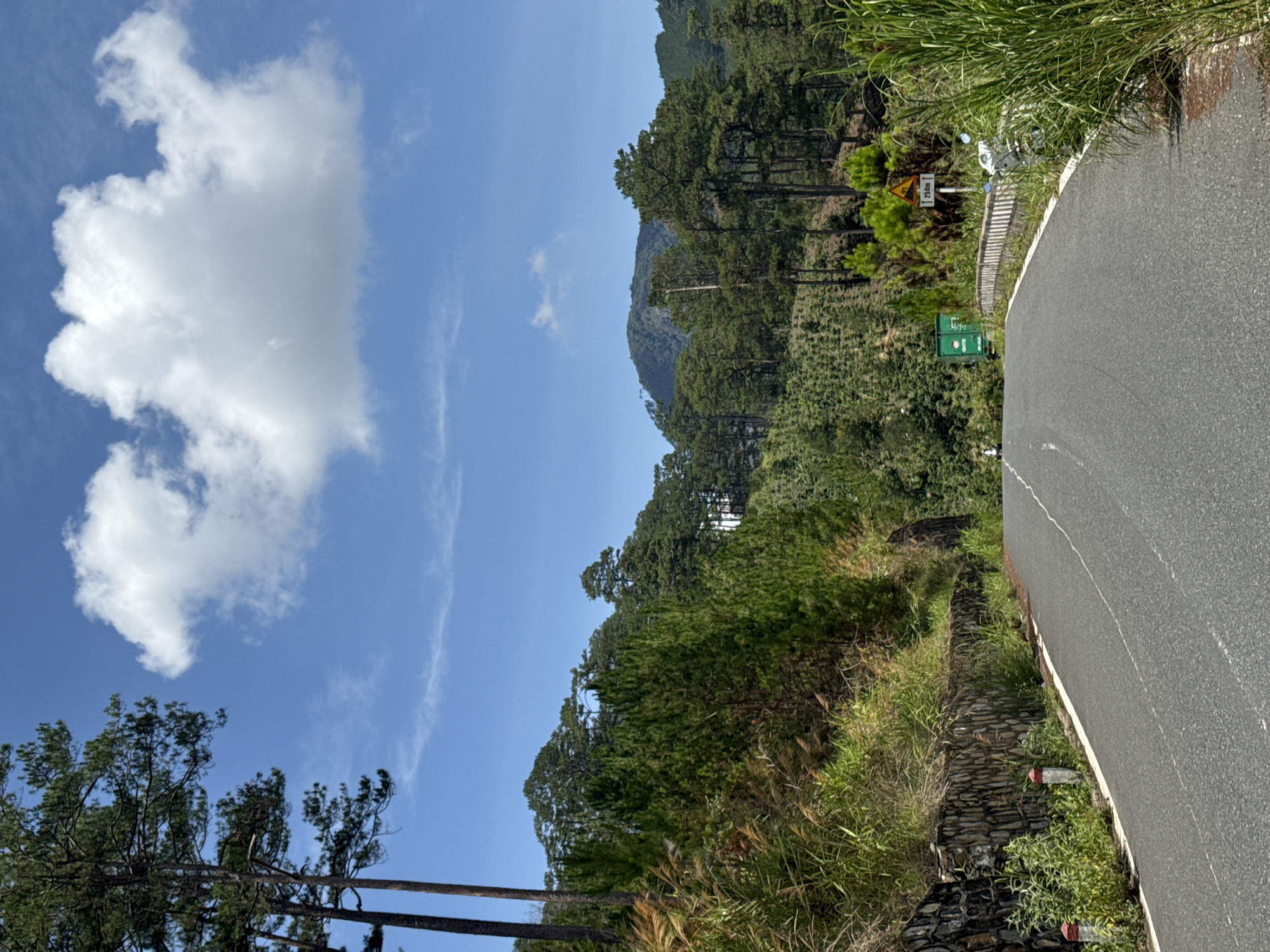 The image shows a road winding through a lush, green landscape, possibly in the Hiep Thanh area of Vietnam. The road, paved and grey, curves sharply to the right. Tall grasses and vegetation line the edge of the road. Beyond the road and vegetation, the terrain transitions into dense, forested hills. In the distance, mountain peaks are visible, partially obscured by trees. A large, puffy white cloud dominates the blue sky, creating a contrast to the green environment below. Several road signs can be seen adjacent to the roadside.