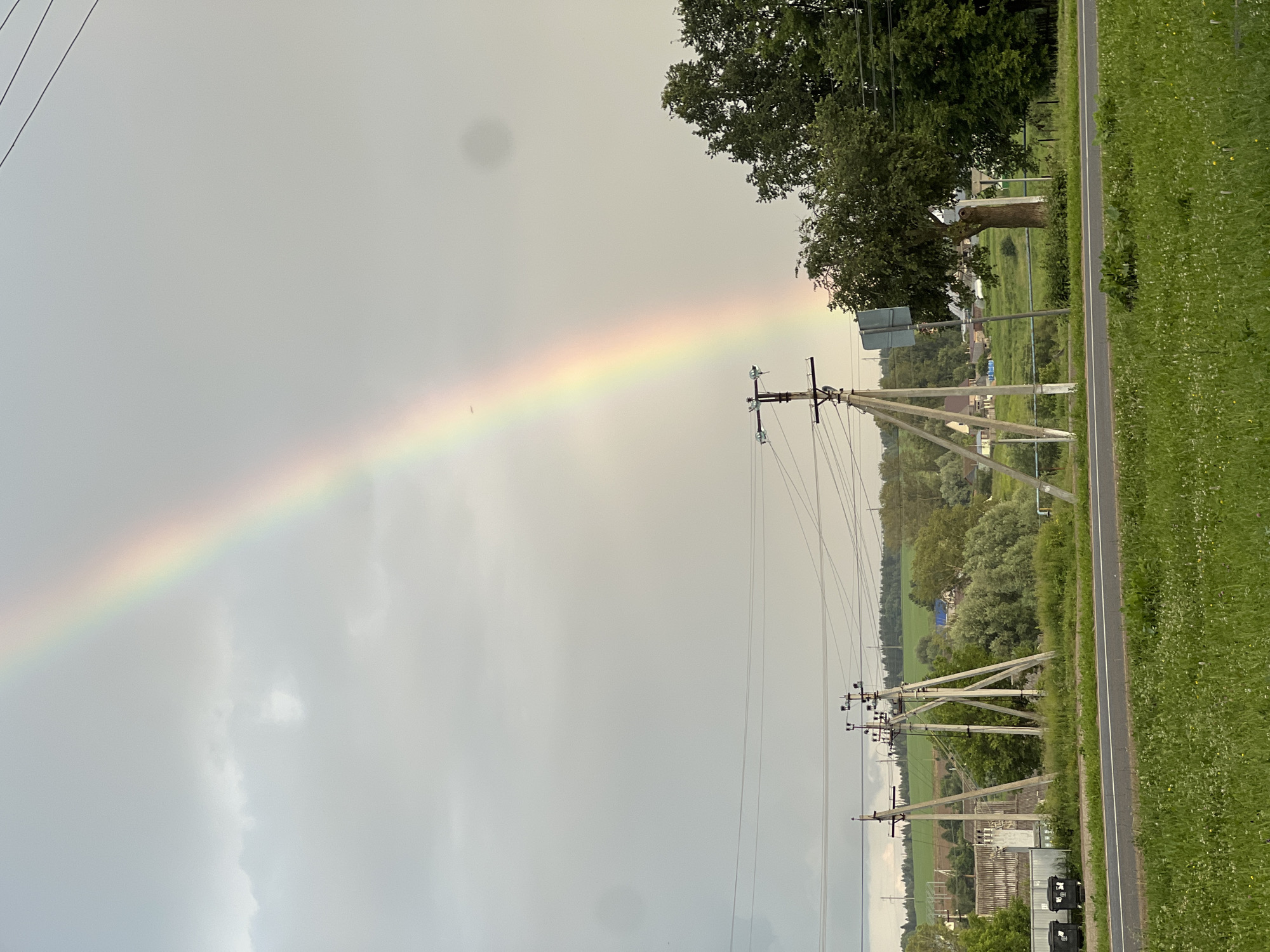 The image depicts a rural landscape in Perevoznoe, Russia, under a cloudy sky featuring a prominent rainbow arching across the frame from the upper left to the middle right. In the foreground, a grassy field with scattered white wildflowers borders a paved road with white lane markings. Along the roadside, several concrete utility poles with crossbars and wires are visible, along with two dark gray trash bins. Beyond the road and poles, the scene transitions to a village with various buildings, including a long, low-rise structure with a corrugated roof, and scattered houses with blue and white roofs. Lush green trees and foliage fill the midground, with a denser section of trees, including a large deciduous tree with a thick trunk, on the right side of the image. The background consists of rolling green hills and a distant line of dark green trees, suggesting a forested area. The overall impression is one of a post-rain, natural environment with human infrastructure.