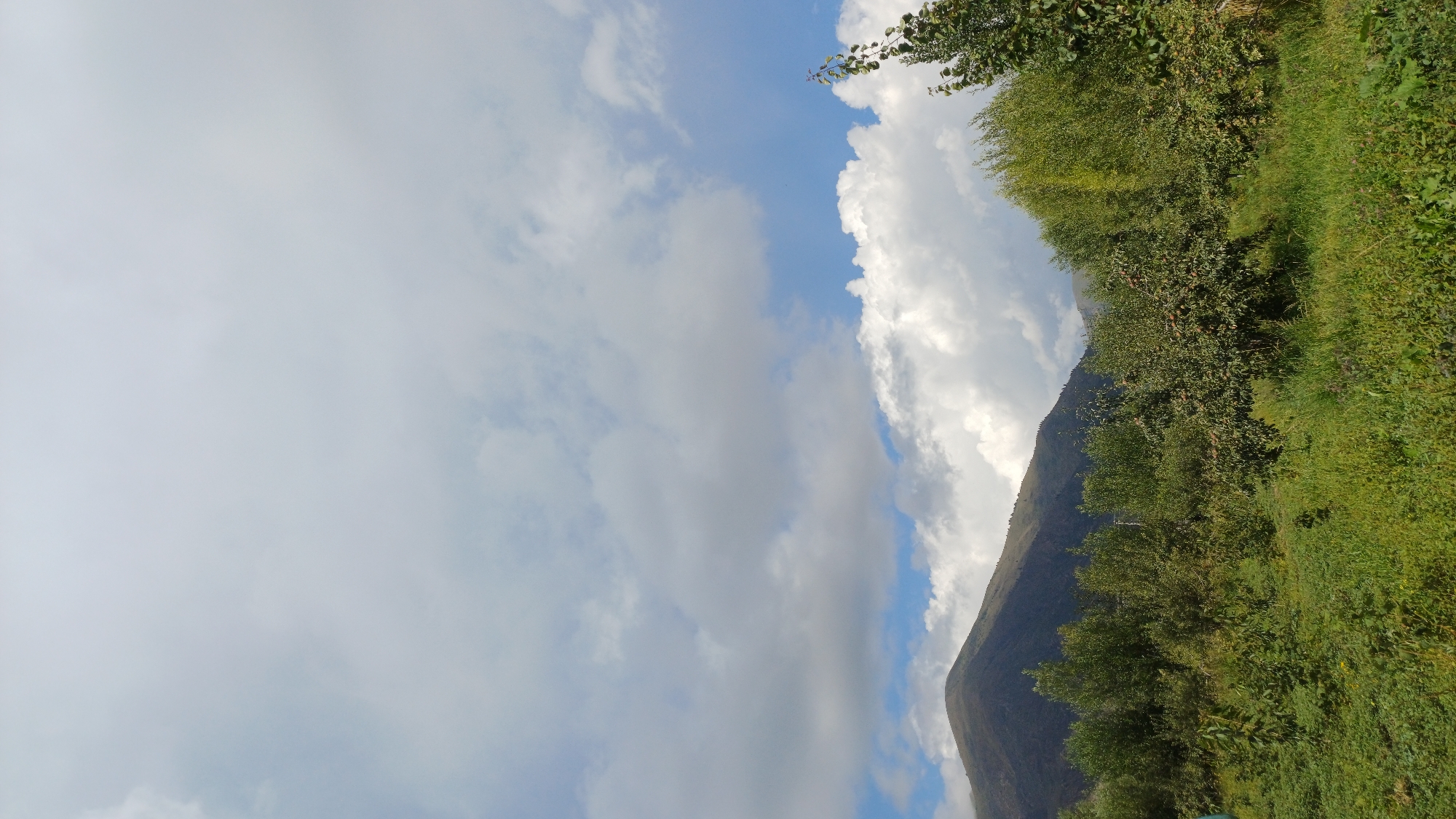 The image captures a serene landscape with a prominent mountain range in the background, its slopes covered in sparse vegetation under a sky filled with dramatic, billowing clouds. In the foreground, a lush green meadow is interspersed with numerous trees, some appearing to be fruit-bearing given the small, round objects visible on their branches. The overall impression is one of a natural, untouched environment, likely in the rural setting of Кашат, Kyrgyzstan, characterized by its mountainous terrain and agricultural land.