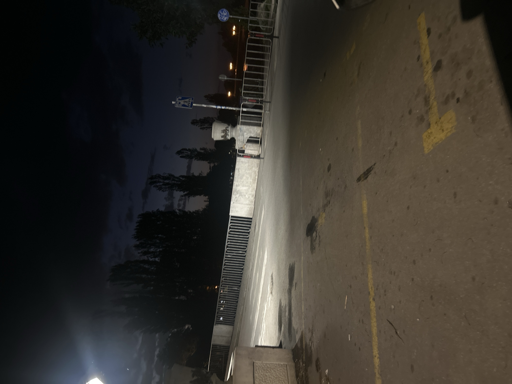 The image shows a street scene at night. A parking space with a yellow painted "1" is visible on the asphalt. There are trees and buildings in the background, with streetlights illuminating the area. A pedestrian and bicycle sign can be seen on a pole. Metal barriers are also present. The sky is dark, indicating nighttime.