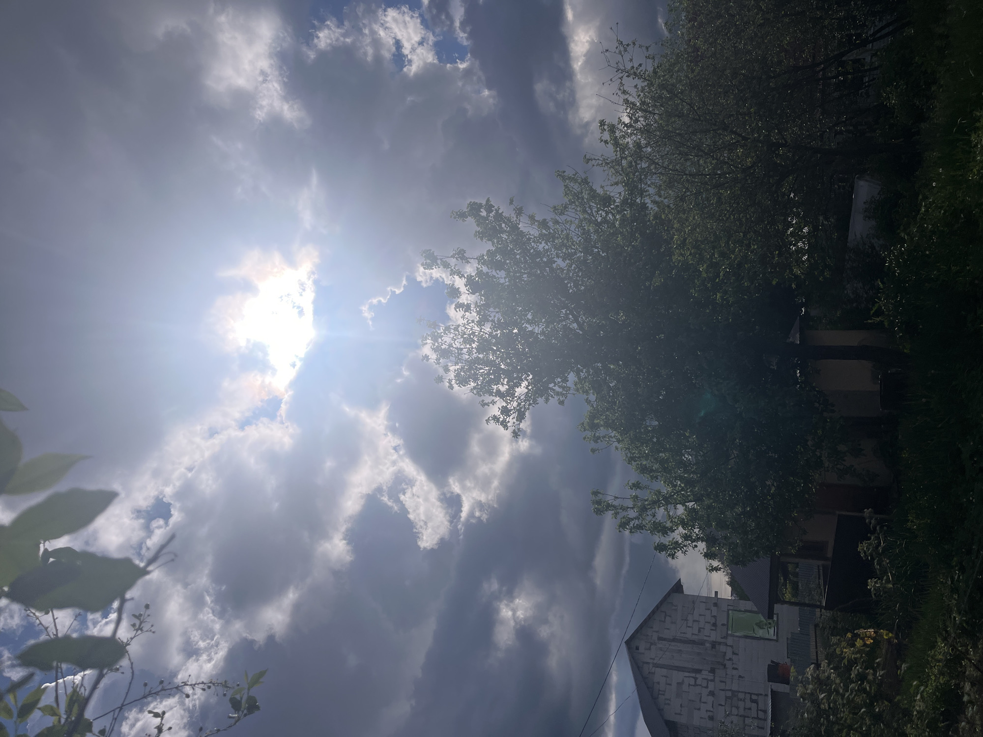 This image captures a vibrant outdoor scene, depicting a dynamic sky with the sun breaking through clouds, casting a strong glare. The photograph is taken from a low angle, looking upwards towards the sky and surrounding elements.
The primary subjects are the sky, sun, clouds, trees, and a house. The upper left of the frame is dominated by a bright sunburst, indicating a powerful light source, possibly midday. Around the sun, bright white clouds are visible, contrasting with vast expanses of darker, greyish clouds that appear thick and voluminous, suggesting a changeable weather pattern or recent rainfall. Patches of blue sky are visible between the clouds, particularly towards the top and center.
Lush green foliage from trees and bushes occupies the right side of the frame, with dense canopies partially obscuring the sky and distant elements. The leaves appear vibrant and healthy. In the foreground, towards the bottom left, more leaves and delicate branches with small berries or buds are visible, slightly out of focus.
On the lower right, a house is partially visible, primarily its roof and a side wall. The house appears to be constructed from light-colored, possibly aerated concrete blocks, giving it a textured, unfinished or rustic appearance. A distinct bright green window frame is noticeable on the side of the house. A dark, possibly grey or black, roof is also visible. Other darker, less distinct structures are present behind the main house, amidst more greenery. A thin wire crosses the lower portion of the image.
No people or discernible text are visible in the photograph. The scene suggests a rural or suburban setting in Chaikovsky, Russia, characterized by its natural elements and residential structures under a dramatic sky.