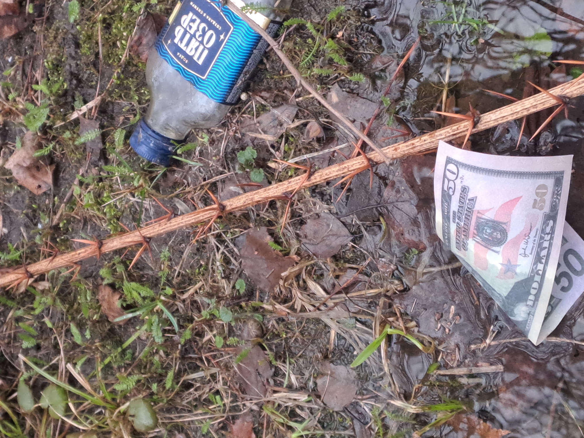 The image presents a discarded scene on the ground near a water source. A bottle of "Pyat Ozer" (Five Lakes) vodka, with Cyrillic text indicating it is "created in Siberia," is lying on the left side of the image, amidst dried leaves, twigs, and green foliage. A thorny branch stretches across the middle of the frame. Adjacent to the water, on the right side of the image, is a crumpled fifty-dollar bill. The ground appears muddy and contains puddles, reflecting a wet environment. The exact location cannot be determined from the image, although text on the vodka bottle indicates it is Russian.