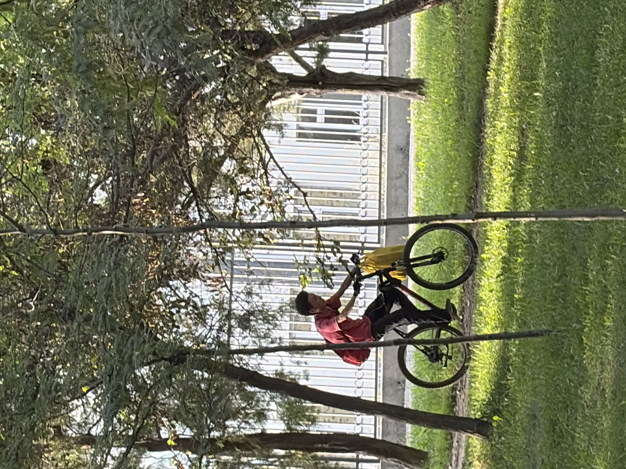 In an outdoor setting, a young person is riding a bicycle. The person is wearing a red t-shirt and dark pants and has a red backpack slung over their shoulder, with a yellow bag hanging from the handlebars. The bicycle is dark-colored. The scene is illuminated by sunlight filtering through the trees, creating dappled light and shadow on the grassy ground. In the background, there is a fence and a building with white vertical elements. The environment appears to be a park or a pathway lined with trees.