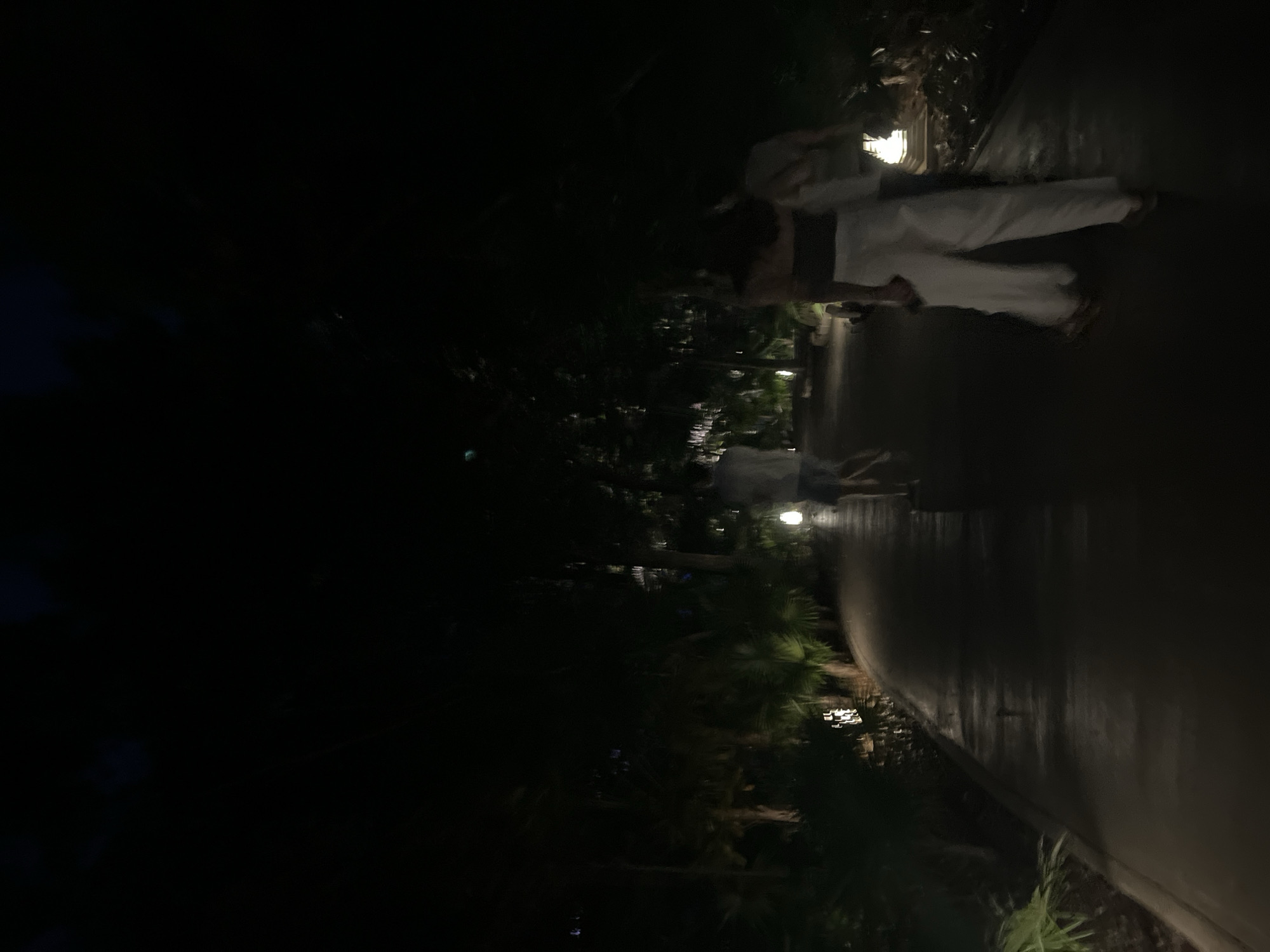 The image depicts a dimly lit outdoor scene in Playa del Carmen, Mexico, at night. A paved pathway curves to the right, illuminated by sporadic light fixtures along its edge. Vegetation, including trees and shrubs, lines the pathway on one side, while the other side fades into darkness, hinting at a body of water. Two individuals are present, dressed in light-colored clothing, and walking along the path. The scene suggests a resort setting or a public walking area near the beach.