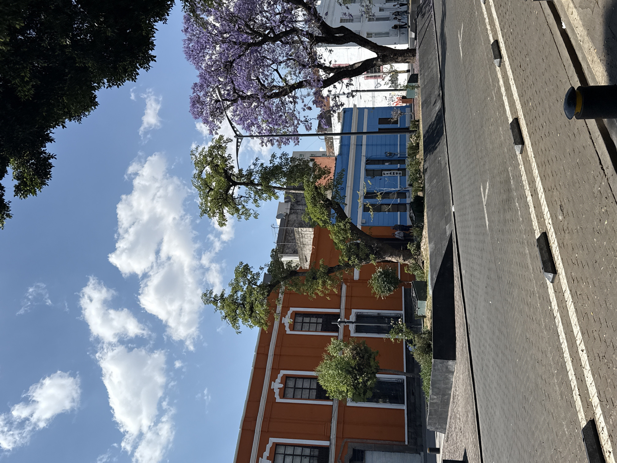 The image depicts a street scene in the city of Puebla, Mexico. An orange building with white trim and dark-framed windows stands on the left side of the street. Adjacent to it is a blue building with similar white trim and dark windows. A flowering Jacaranda tree with purple blossoms towers above the buildings. Another tree with green foliage is positioned between the orange and blue buildings. A streetlamp is situated near the green tree. The sky is blue with scattered white clouds. A gray asphalt road runs along the right side of the image, marked with white lines and black traffic barriers.