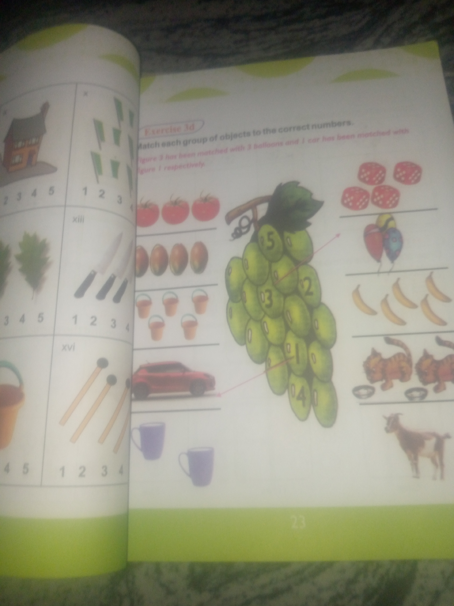 This is a page from a children's workbook. The page is divided into two columns, with the left column containing images and numbered lines for matching, and the right column containing exercises and objects to count. The left column shows images of a house with numbered lines 1-5, green leaves with numbered lines 1-5, knives with numbered lines 1-4, and matches with numbered lines 1-4. The right column has the heading "Exercise 3d" and asks to "Match each group of objects to the correct numbers." It displays groups of dice, balloons, bananas, cats, a car, cups, and a goat, along with a large bunch of grapes with numbers on each individual grape. There is no information about Jauro Yinu, Nigeria in the image, nor any indication of the scene being located there.