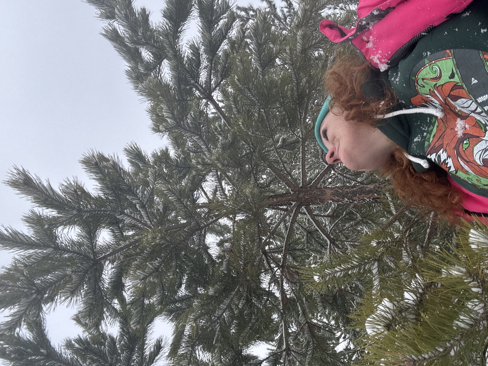 The image depicts a person with red hair, wearing a blue headband, a green and orange hooded sweatshirt, and a pink backpack, standing among snow-covered pine trees. The sky is overcast. The location in Noviy, Russia, is unknown.