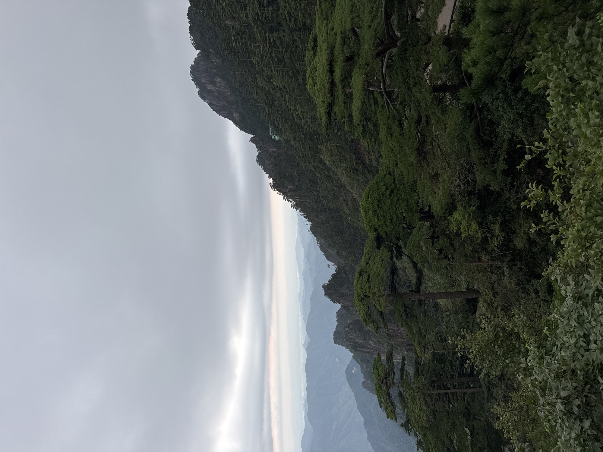 The image depicts a cloudy, overcast day in the mountainous region of Huangshan District, China. The foreground features lush green foliage and several large pine trees with distinctive gnarled branches. In the midground, the scene opens up to a vast expanse of rolling mountains layered in shades of blue and green, indicating distance and atmospheric perspective. The peaks are densely covered with evergreen trees. A sheer rock face with sparse vegetation is visible on the right side of the midground, with a structure, possibly a building or viewing platform, perched on its side. A cable car line is faintly visible ascending the mountain in the distance. The background consists of more distant mountain ranges fading into the hazy sky. The overall impression is of a wild, natural landscape under a muted sky, characteristic of the scenic beauty of Huangshan.