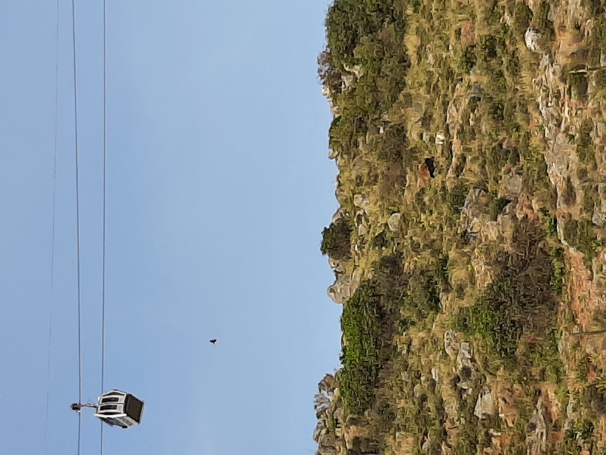 The image depicts a cable car system on a hillside in Alanya, Turkey. A single cable car cabin is visible suspended from the cables against a clear blue sky. A bird is flying in the sky. The hillside features vegetation, rocks, and varied terrain.