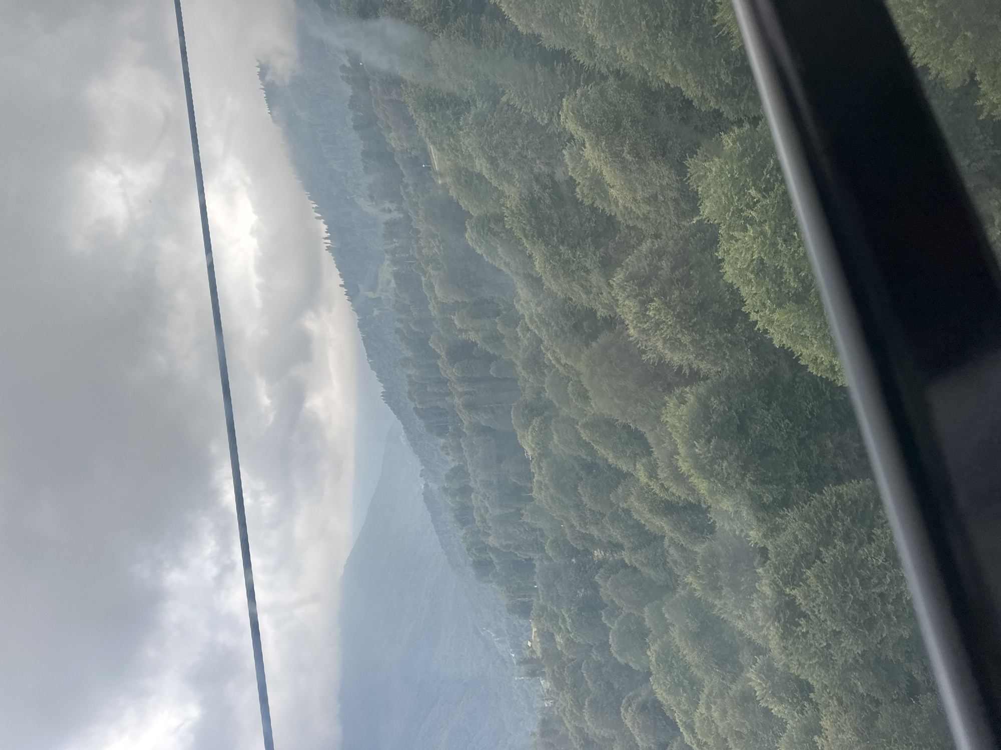 The image shows a panoramic view of a forested mountain slope, likely taken from a cable car in Estosadok, Russia. The sky is overcast with thick, grey clouds. In the foreground, a dark, blurred railing runs across the bottom of the frame, suggesting the vantage point is from a moving vehicle or structure.
The mountain is densely covered with lush green trees, their canopies creating a textured carpet that extends as far as the eye can see. The trees are varied in shape and size, with some appearing more conical and others more rounded. There are visible layers of mountains receding into the distance, with the furthest peaks fading into a hazy, bluish-grey mist. Some thin wisps of fog or mist are also present amongst the trees on the mountainside, particularly in the mid-ground and background, adding to the atmospheric depth.
On the slopes, faint indications of human presence can be discerned, such as thin, winding lines that could be trails or ski runs, and a few small, indistinct structures nestled among the trees. These elements are very subtle and do not dominate the natural landscape. The overall impression is one of a vast, verdant, and somewhat remote mountain environment, captured on a cloudy day.