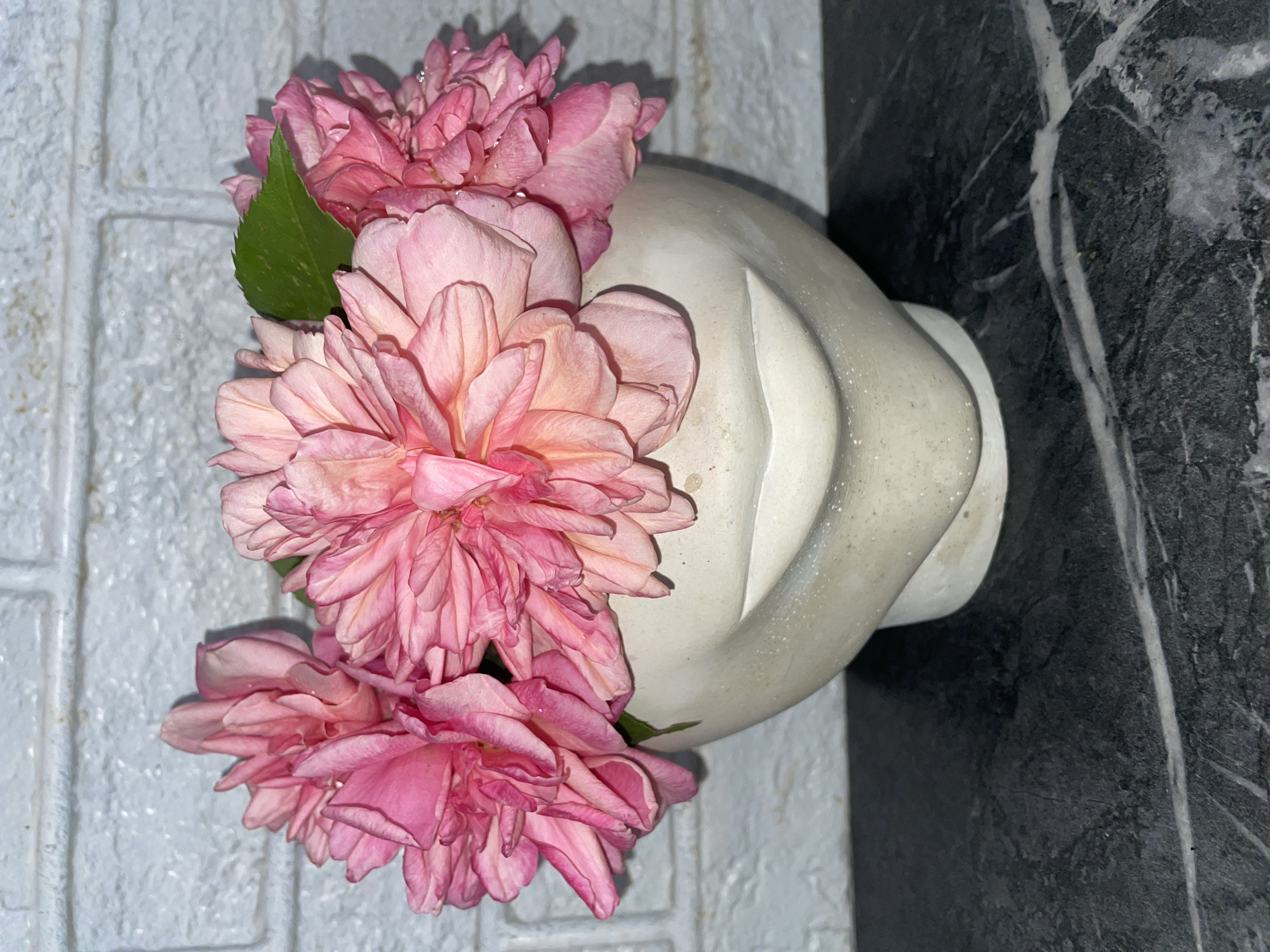 A close-up shot shows pink roses arranged in a white, vase resembling a human face. The vase sits on a surface split between a white brick-like material and a dark, marbled stone. The photo's perspective is from above, angled slightly downward onto the flowers and vase. The scene evokes a sense of domestic still life. There is no evidence of the location being in Baranovka, Russia.