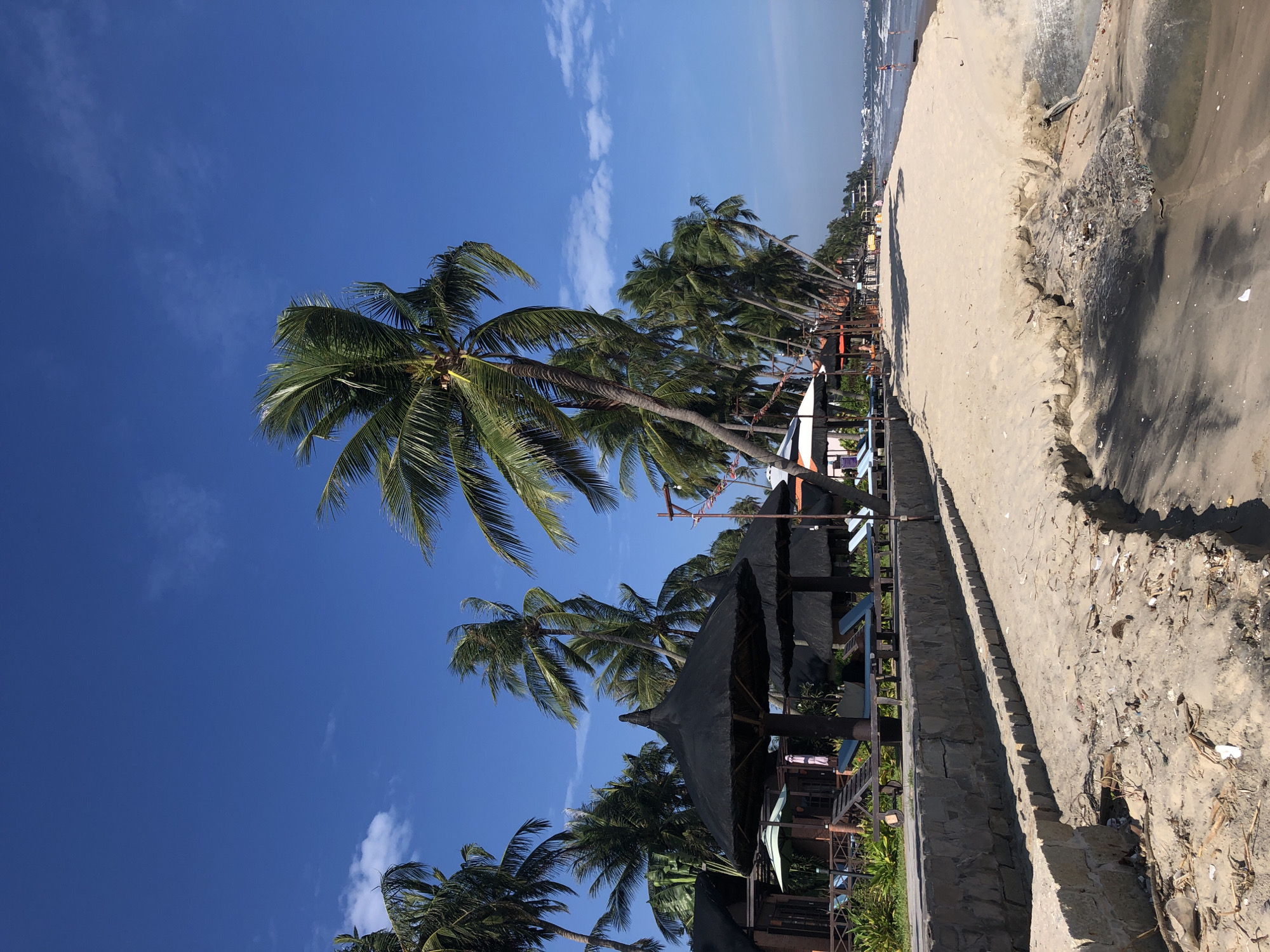 A wide shot captures a sunny day at a beach in Mũi Né, Vietnam, with clear blue skies and a few wispy clouds. The foreground is dominated by a sandy beach, showing signs of erosion with a visible cut into the sand where debris is collected. Beyond the beach, a low stone wall runs parallel to the shore, separating it from a resort area. This area features rows of thatched-roof bungalows and black thatched umbrellas providing shade over lounge chairs. Numerous palm trees line the edge of the resort, their fronds swaying in the gentle breeze. In the distance, the ocean stretches to the horizon, with small boats visible. The overall scene depicts a tropical resort atmosphere.