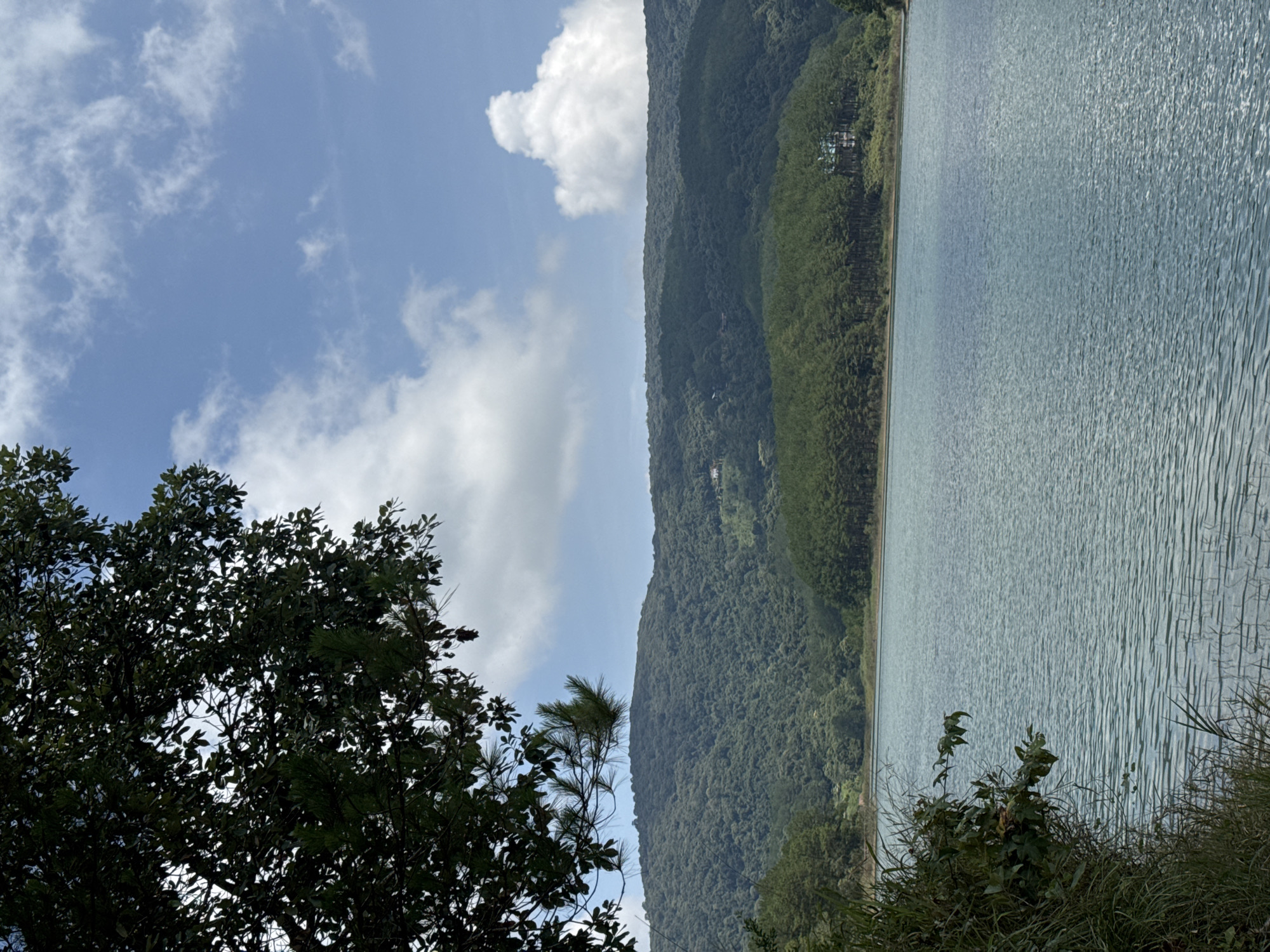 The image shows a landscape view of Tuyen Lam Lake in Da Lat, Vietnam. The lake fills the right half of the image and its surface has light ripples. A dense evergreen forest covers the adjacent mountains, which span the center of the image. A small group of buildings is visible on the mountain side. A blue sky with scattered white clouds is overhead. Trees and foliage fill the foreground of the left side of the image.