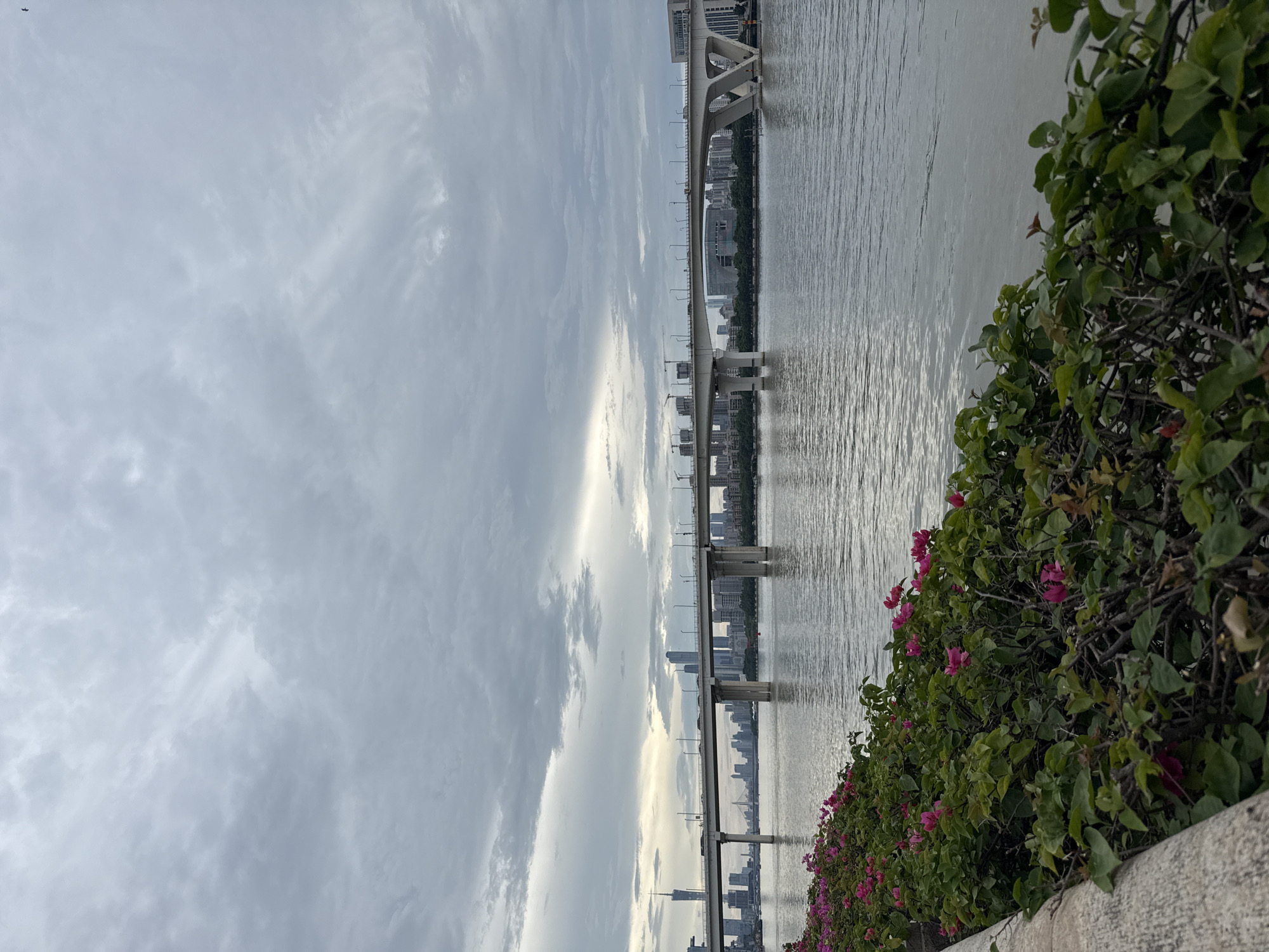 A long, modern bridge spans a wide river in Tianhe District, China, under a cloudy sky. The bridge is supported by numerous concrete pillars and carries traffic. On the far bank of the river, a city skyline with various buildings, including skyscrapers, is visible. In the foreground, a lush green bush with bright pink flowers lines the riverbank, separated from the water by a textured stone wall. The water surface is calm with gentle ripples.