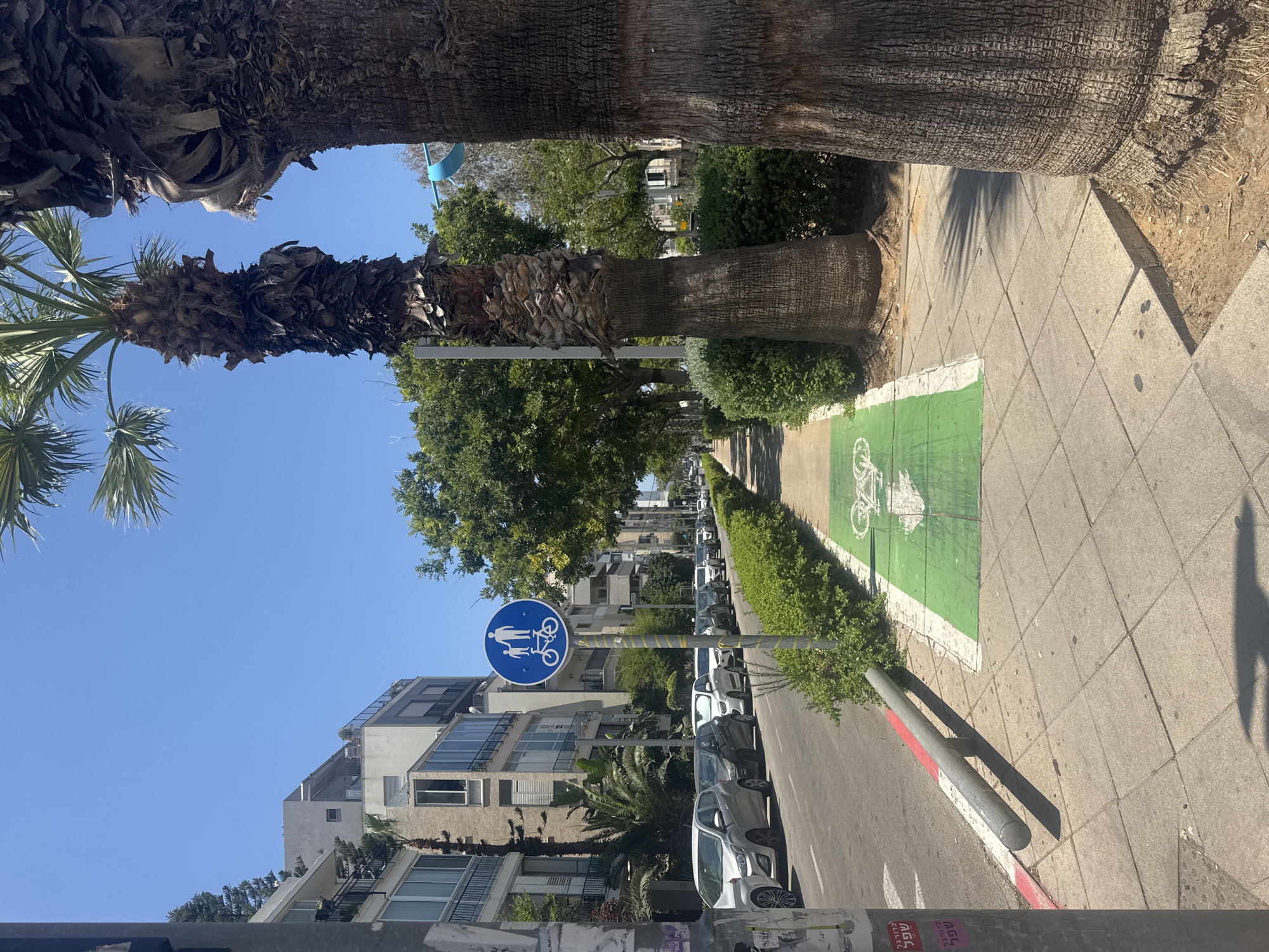 The image depicts a street scene in Tel Aviv, Israel. The sidewalk is paved with gray tiles and marked with a green bicycle lane. A blue signpost indicates a shared pedestrian and bicycle path. The street is lined with parked cars. Buildings are visible on the left side of the frame, with trees interspersed. Palm trees frame the top of the image, and the sky is clear and blue. A metal bollard with a red and white curb is visible on the right edge.