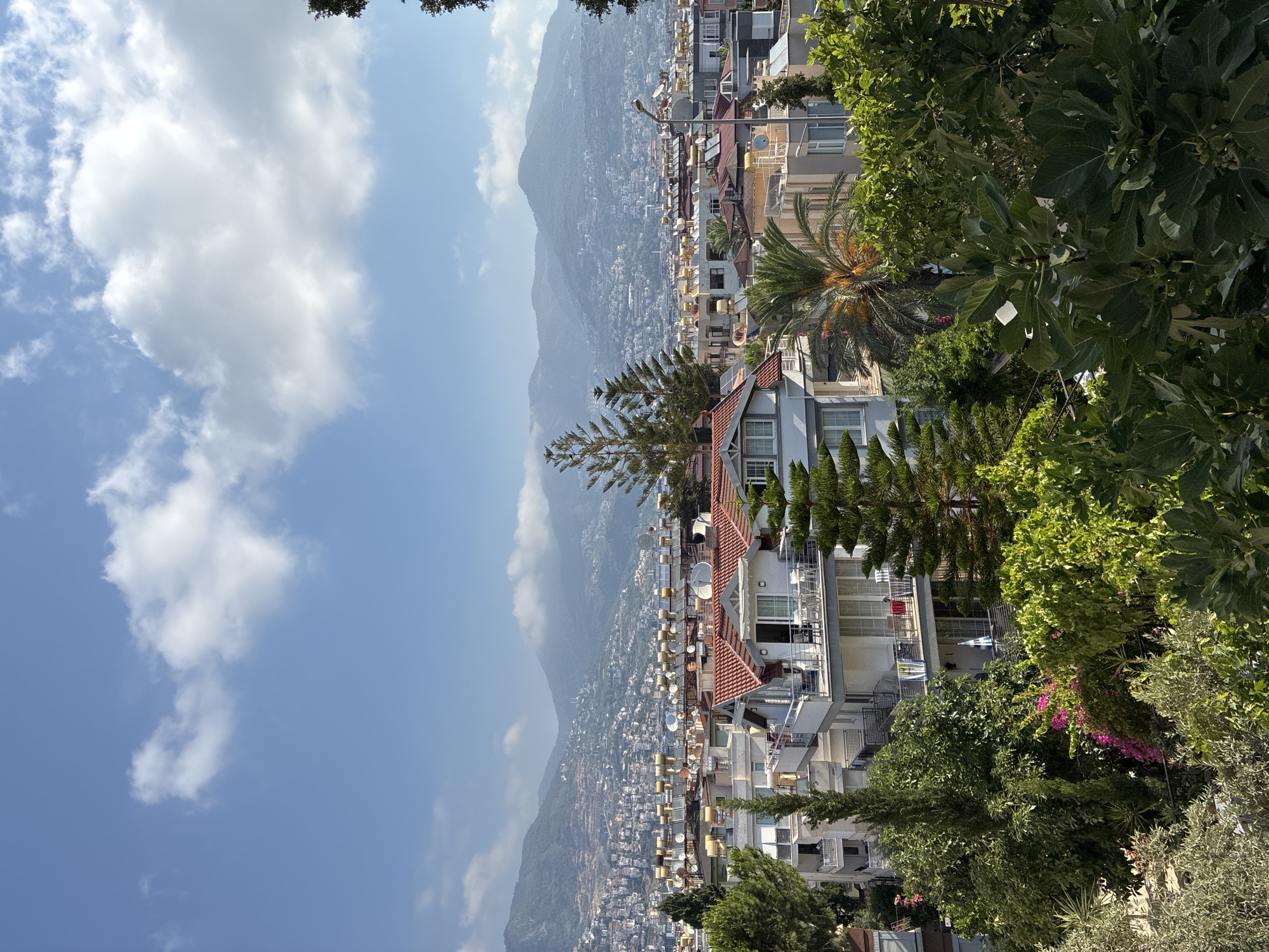 The image is an elevated, wide-angle view of a city with mountains in the background. The city appears to be located on a hillside, with buildings densely packed together, extending up the slopes of the mountains. The architecture consists of multi-story residential buildings, many with red tiled roofs. Numerous solar water heaters are visible on the rooftops, a common feature in Alanya, Turkey, indicating a likely location. In the foreground, lush green trees and vegetation partially obscure the lower buildings, suggesting a natural environment integrated with the urban landscape. The sky is a clear blue with scattered white clouds. The scene is tranquil and sunny, with no people or visible actions taking place.
