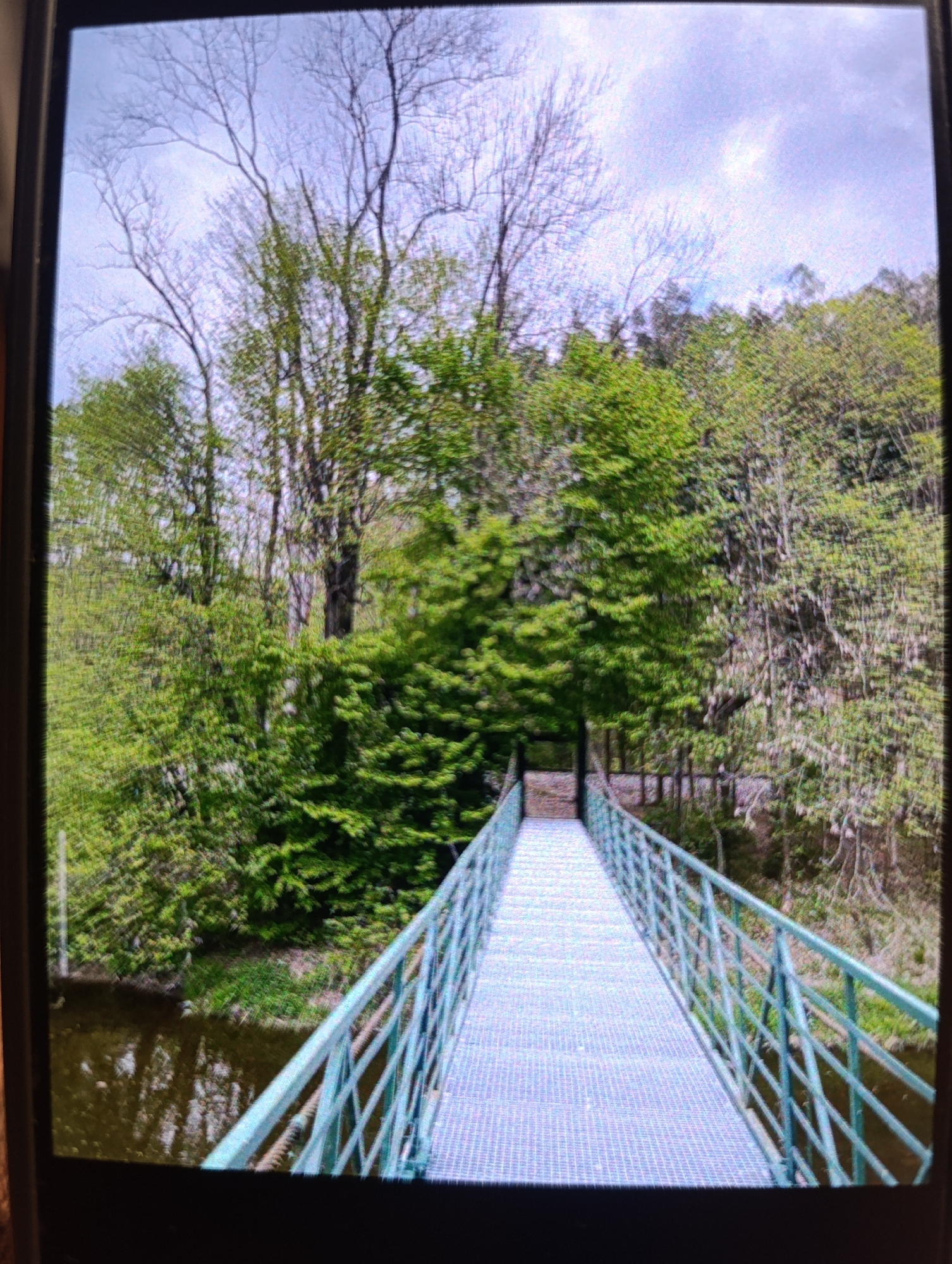 The image shows a pedestrian bridge made of metal with a green railing extending over a body of water. The bridge has a grated surface. It is surrounded by lush green trees and vegetation, with some bare trees also visible in the background. The sky is overcast. The scene appears to be in a natural, outdoor setting. There are no people or animals visible in the image.