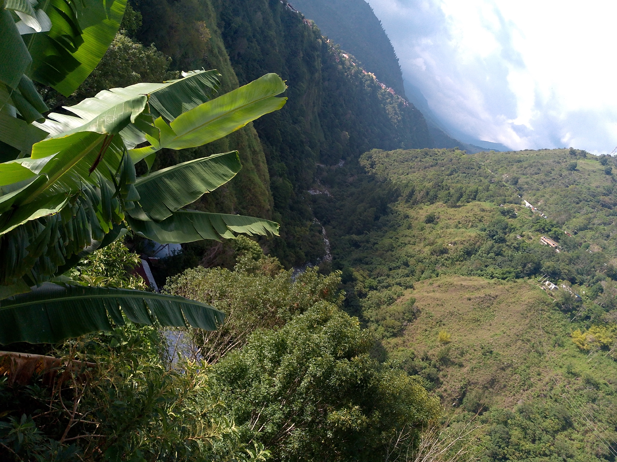 The image shows a mountainous landscape in Mérida, Venezuela. The foreground is dominated by large, green banana leaves. The middle ground reveals a steep hillside covered in dense vegetation, including various trees and shrubs. A small waterfall or stream can be seen cascading down the hillside. In the background, a taller mountain range is visible, dotted with houses or buildings along its slopes. The sky is partly cloudy with patches of blue.