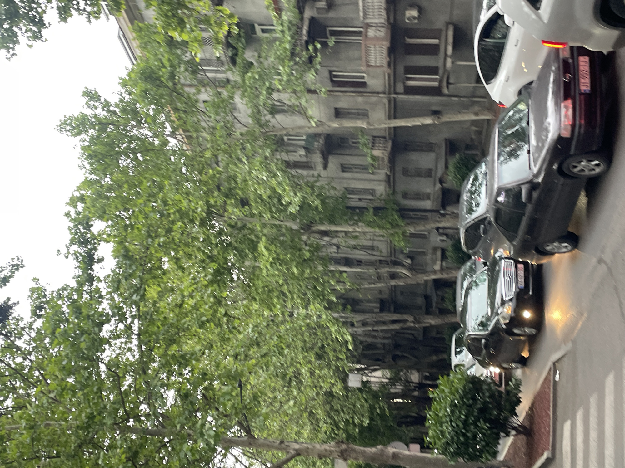 The image depicts a street scene in Tbilisi, Georgia, lined with tall, mature trees that partially obscure a multi-story building with weathered concrete facade and rows of windows. Several cars are parked along the street, with a black sedan and a white SUV partially visible. A section of a crosswalk is visible in the foreground, and there appears to be a sidewalk with a small hedge or bush. The light suggests it is either early morning or late afternoon.