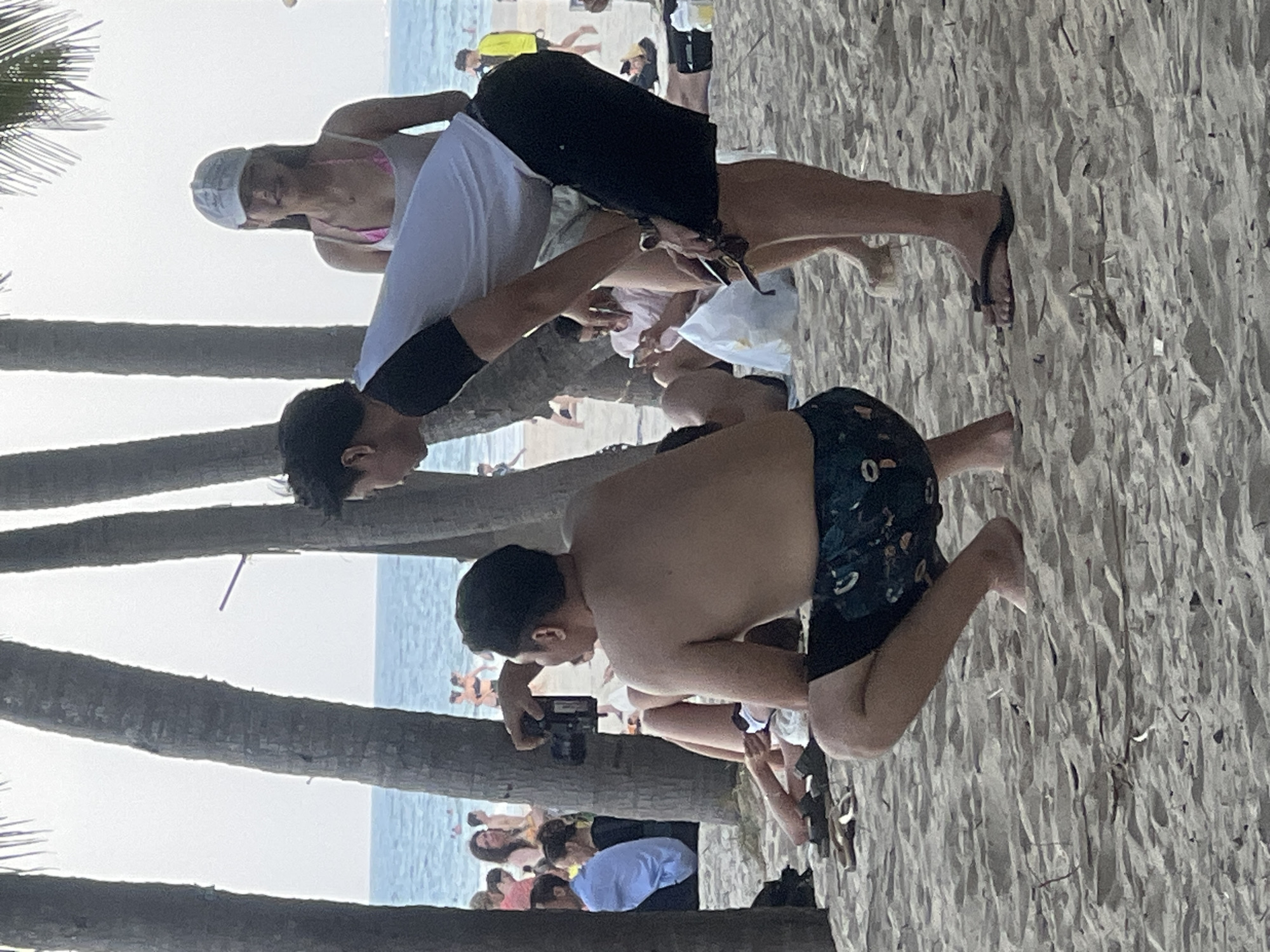 A group of people are gathered on a sandy beach, with palm trees in the foreground. The ocean is visible in the background, with several individuals swimming or wading in the water. The people on the beach are dressed in casual beachwear. One man is squatting and holding a camera, seemingly taking a photo. Another man is bending over, and a woman wearing a white baseball cap and a pink bikini top is standing behind him. The scene appears to be a candid moment captured on a sunny day, likely at a popular tourist destination such as Mỹ Khê Beach in Đà Nẵng, Vietnam.