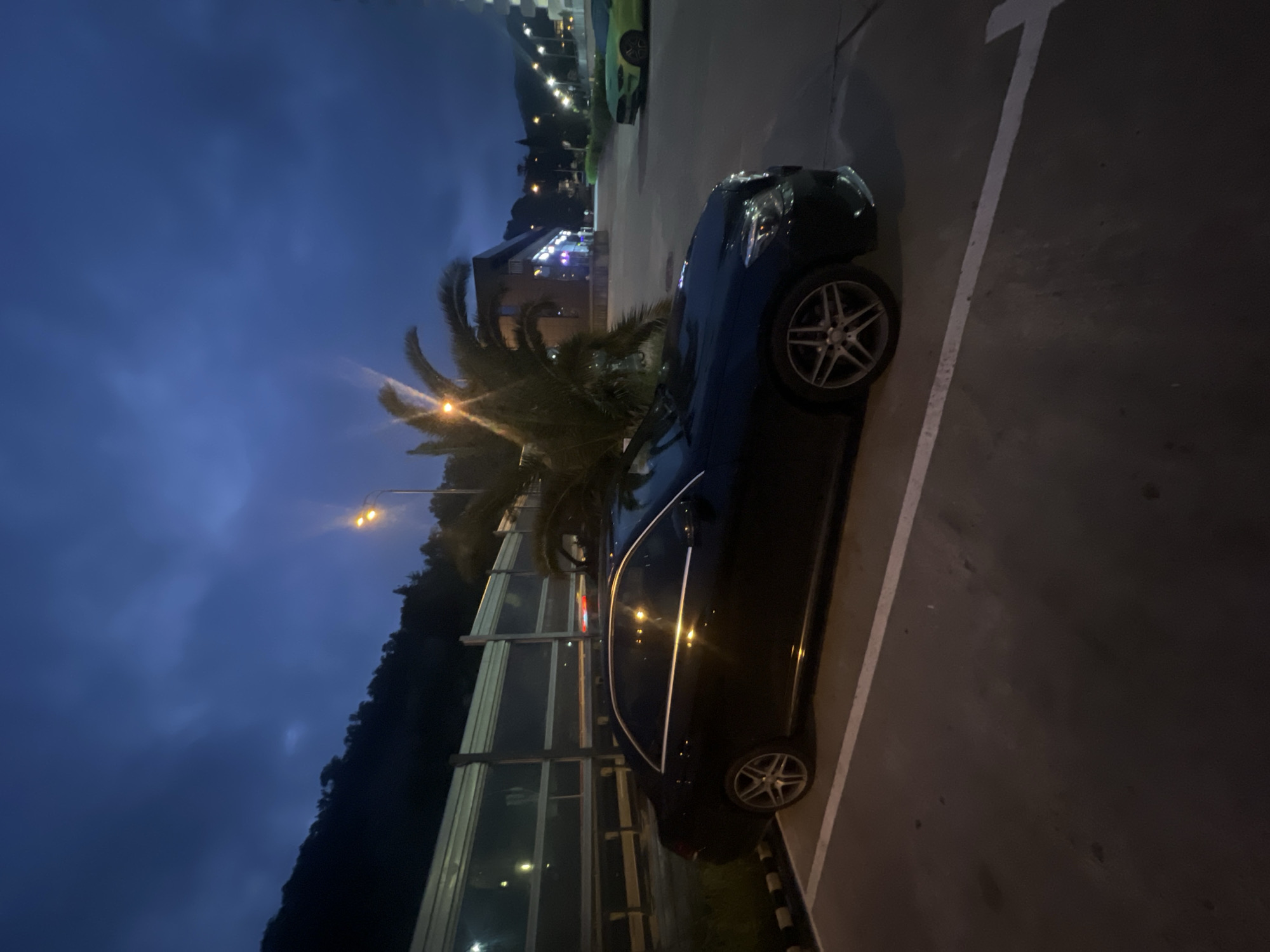 The image depicts a dark-colored Mercedes-Benz parked in a parking space in what appears to be Sochi, Russia. The car is situated next to a white parking line on its right and a noise barrier on its left, with a palm tree visible behind it. In the background, lights from buildings and street lamps suggest an urban environment. The sky is dark, indicating either dusk or night. Another car, possibly green, is visible further in the background. There are no people visible in the frame.
