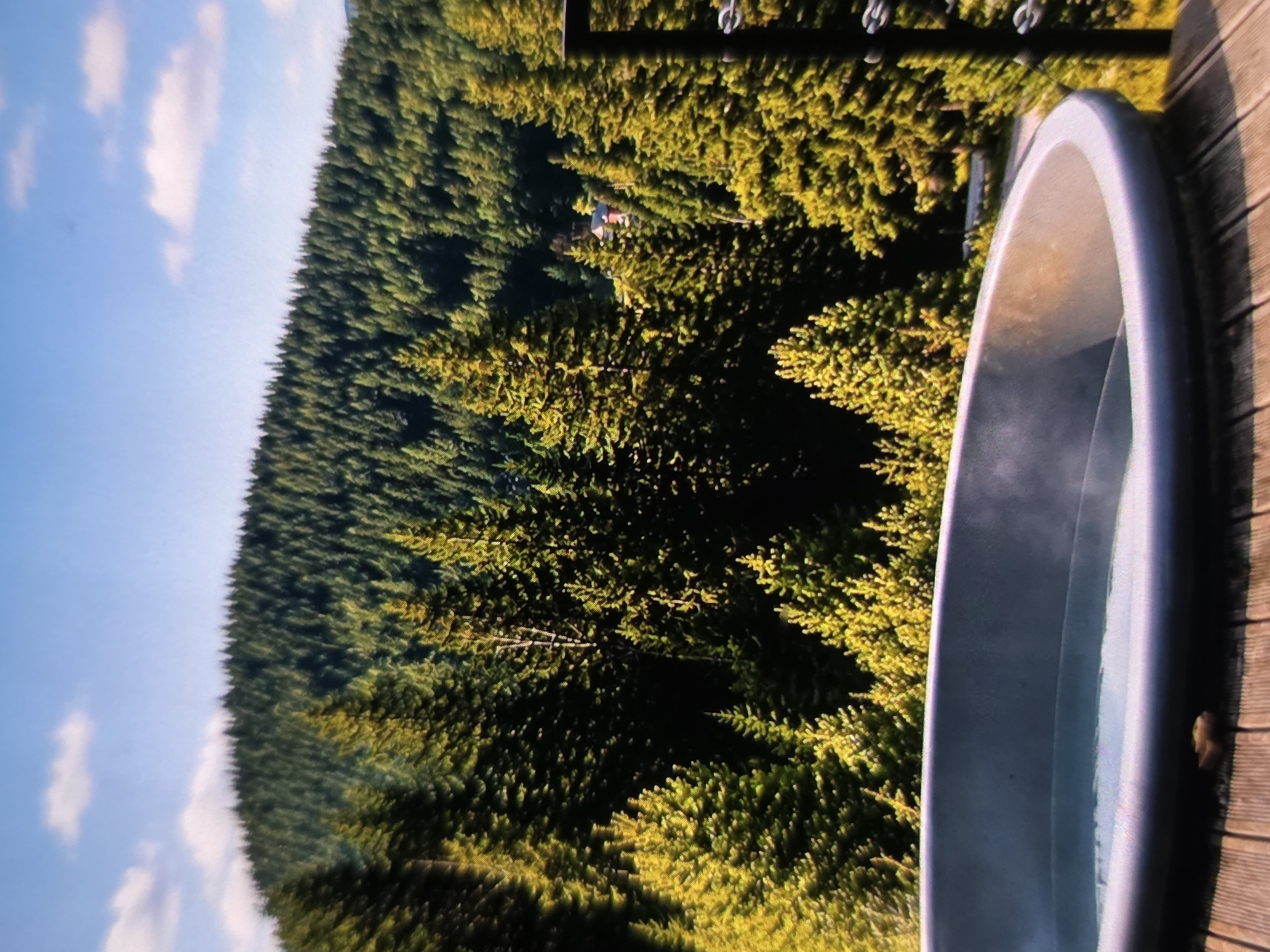 An outdoor hot tub filled with steaming water sits on a wooden deck, overlooking a dense forest of evergreen trees. The forest covers a rolling hillside that slopes upwards towards a bright blue sky with scattered white clouds. A small building with a red roof is partially visible nestled amongst the trees in the distance. The hot tub appears to be made of a gray, smooth material. A dark metal railing with chain links is visible on the right side of the image, partially obscuring the view of the forest. The scene suggests a tranquil, natural setting, likely in a mountainous or heavily wooded area. No people are present in the image.