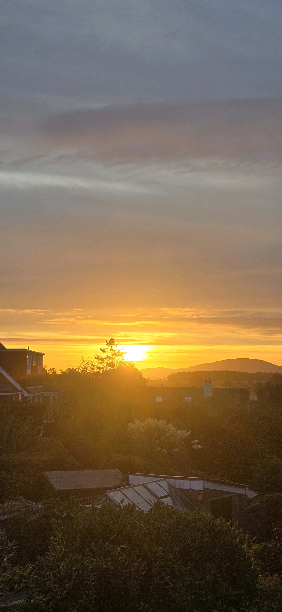 The image captures a sunset over the town of Bayston Hill, United Kingdom. The sky is filled with a gradient of colors, from pale gray and pink at the top to vibrant orange and yellow closer to the horizon. Sunlight dramatically beams through the atmosphere, creating a bright glow around the setting sun, which is partially obscured by trees. In the foreground, the silhouettes of houses and lush greenery are visible. The architecture suggests residential buildings, with roofs and some window details discernible. Several structures, including a greenhouse with a glass roof, are nestled amongst the trees and foliage. The overall scene depicts a peaceful, natural environment bathed in the warm light of dusk.