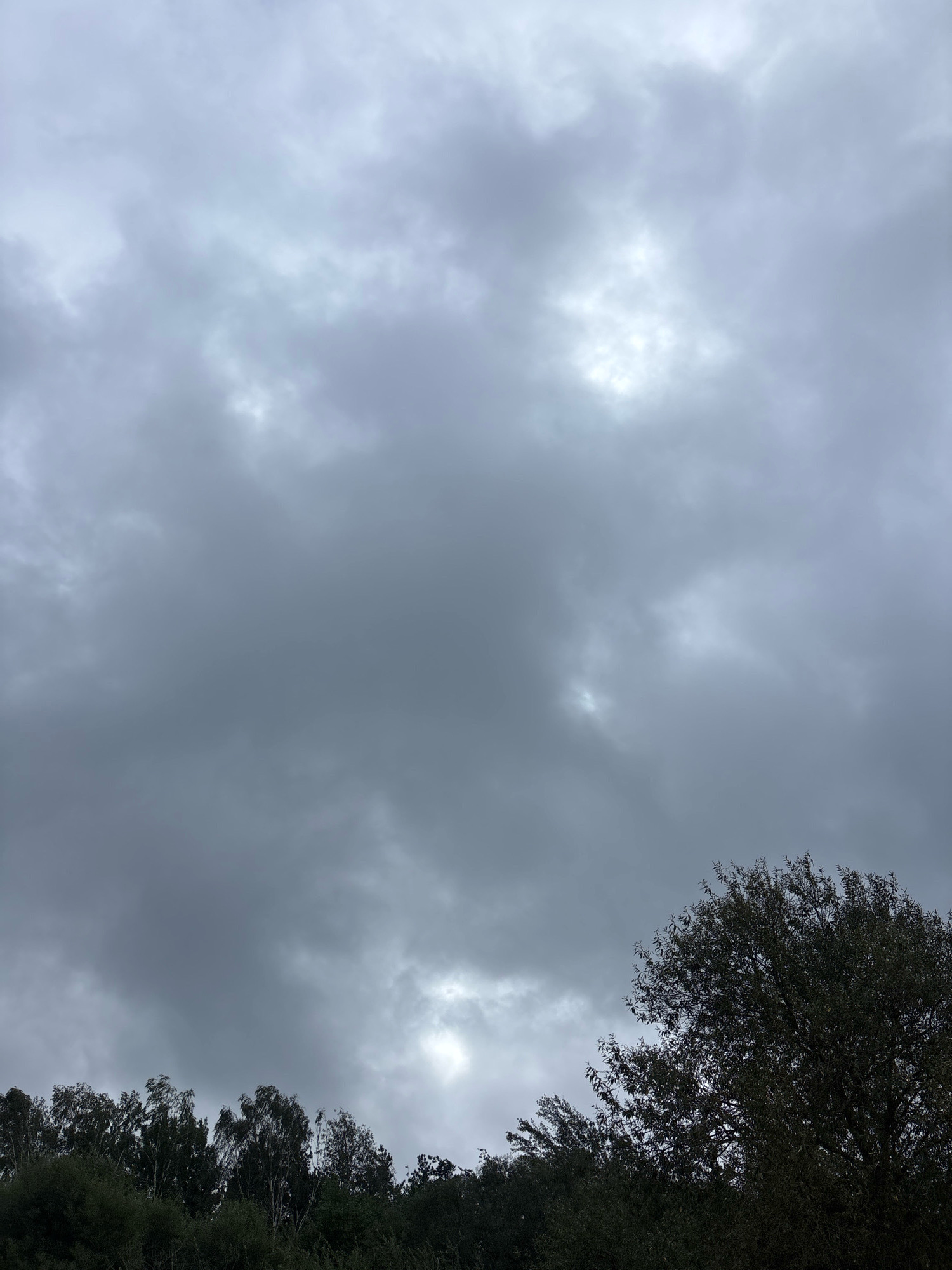 This is a photograph of a cloudy sky over a line of trees, likely taken on a slightly overcast day. The clouds are a mix of dark gray and lighter gray with some patches where the light is breaking through. The trees form a dense, dark line across the bottom of the frame, with some lighter foliage visible on the right side. The scene appears to be outdoors, possibly in a rural or suburban area. The location is specified as Ждановіцкі сельскі Савет, Belarus. There are no people or animals visible in the image.