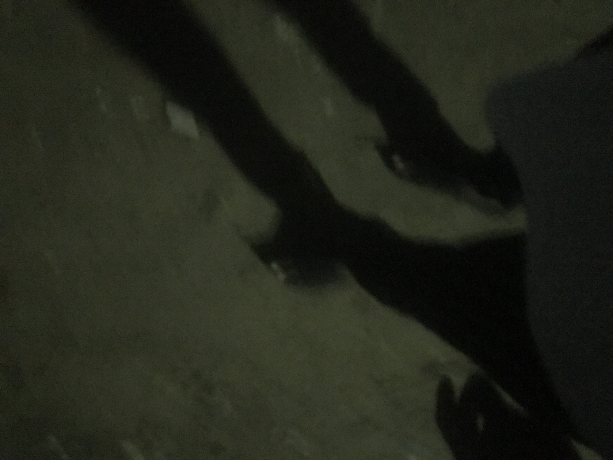 The image depicts a dimly lit outdoor scene at night. Silhouettes of at least two individuals are visible, with one person appearing to be holding the hand of another. The ground appears to be asphalt or a similar dark, textured surface. The lighting is low, creating long shadows and obscuring finer details of the environment. The overall impression is one of a brief, possibly clandestine, interaction occurring in a public space under the cover of darkness.