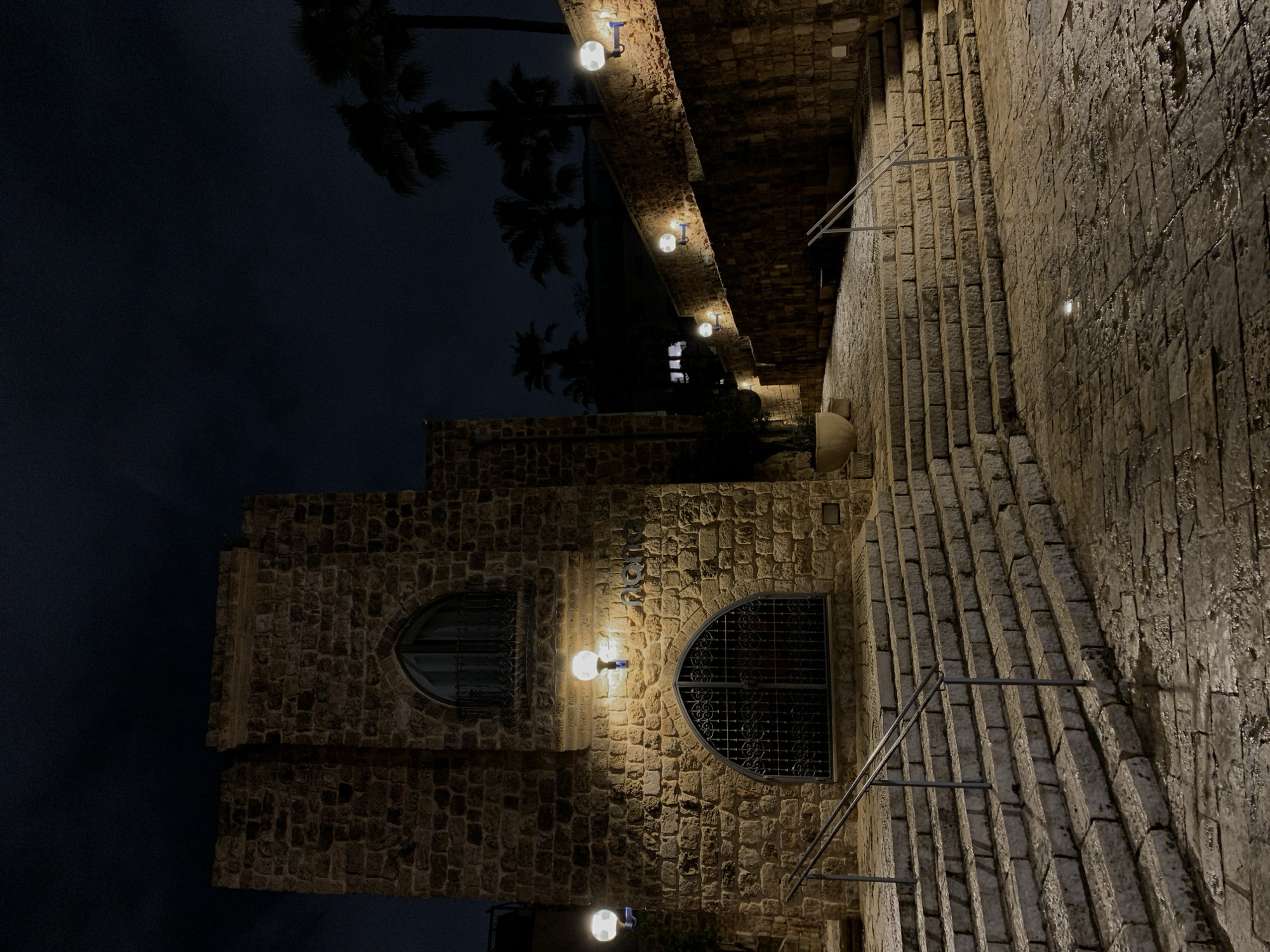 The image depicts a nighttime scene in Old Jaffa, Tel Aviv, Israel. A two-story building constructed from rough-hewn, light brown stone dominates the left foreground, featuring a large arched entrance with a decorative black metal grate at ground level and a similarly arched window with a black metal balcony or grate on the floor above. Above the lower arch, partially illuminated by a wall-mounted globe light, is the inscription "fiona". Another identical globe light is mounted on the building's left side.
In the center and extending to the right, a wide, multi-tiered staircase made of similar stone ascends from the foreground. It features a silver-colored metal handrail on its left side. The stone-paved ground in the foreground and on the steps appears wet, reflecting the light from various sources. To the right of the staircase, a paved pathway curves uphill, flanked by a stone retaining wall. This wall is illuminated by a series of five additional wall-mounted globe lights.
The sky is dark, indicating night. In the upper right background, silhouettes of several palm trees are visible against the dark sky. A large, light-colored planter containing greenery is situated at the base of the stone wall to the left of the main building. No individuals or active subjects are present in the scene.