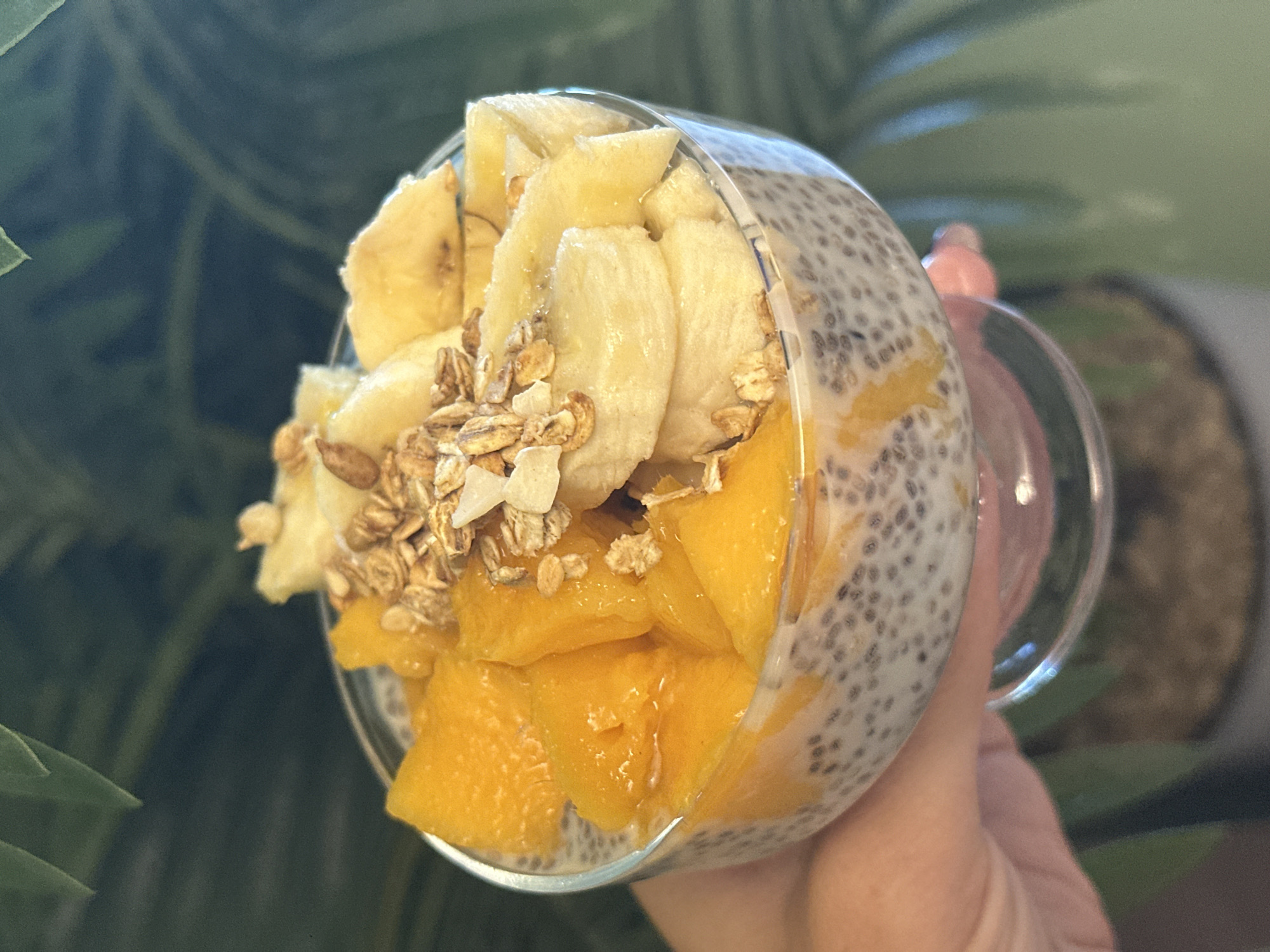 A close-up shot shows a clear glass filled with a layered dessert held in a hand. The bottom layer appears to be chunks of mango, topped with sliced banana and a sprinkle of granola. Between the fruit and the glass is a layer of chia seed pudding. The background is blurred, showing green foliage of a plant.
The image was not taken in Novosibirsk, Russia. There is no evidence in the image to suggest the location.