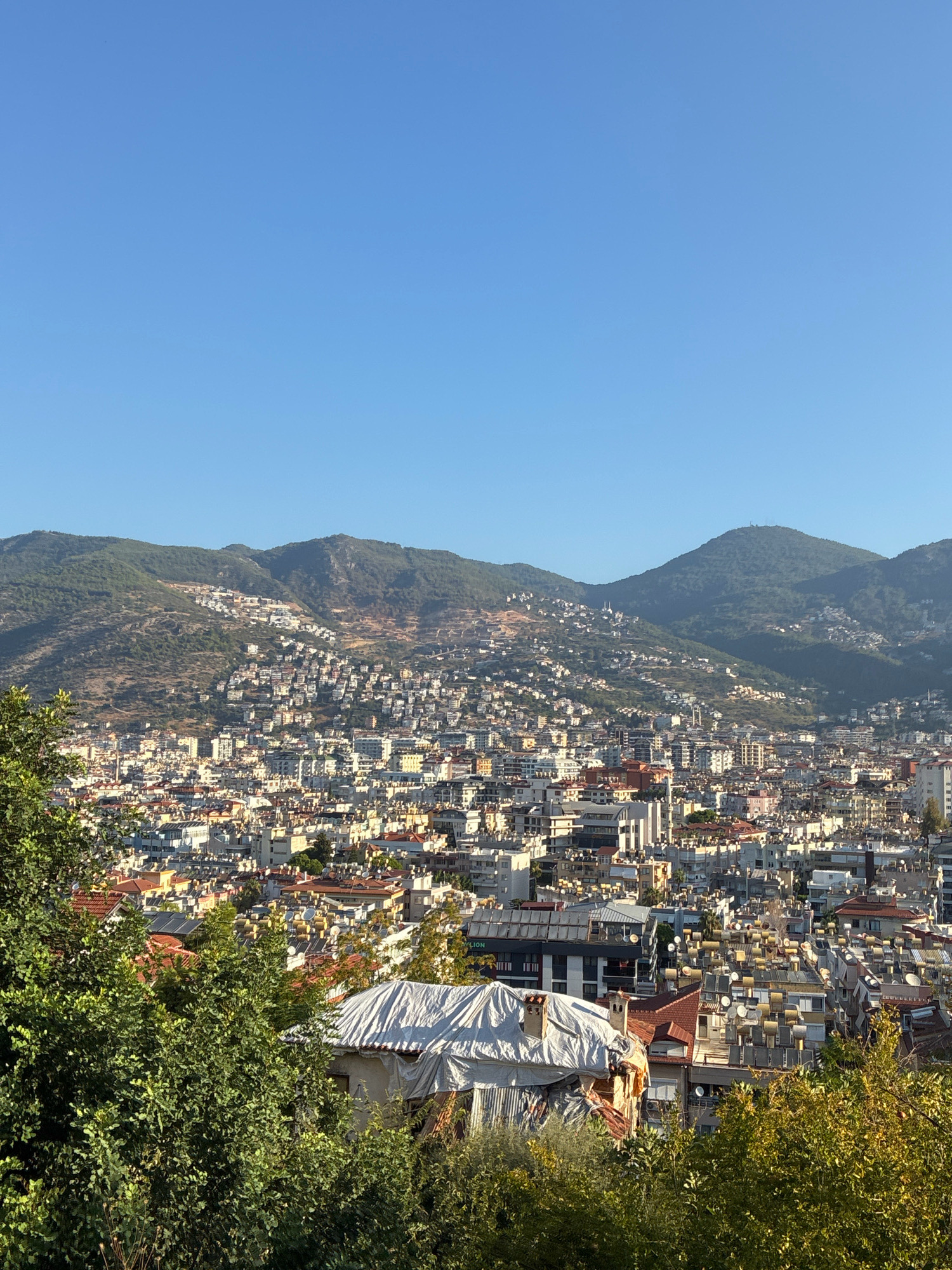 An aerial, wide-angle photograph showcases the dense urban landscape of Alanya, Turkey, nestled at the base of a verdant, mountainous terrain under a clear blue sky. The city is characterized by a sprawling collection of buildings with predominantly white and beige facades, interspersed with red-tiled roofs and flat roofs covered in solar panels. The buildings are tightly packed, ascending the hillsides in a picturesque fashion, creating a sense of depth and scale. In the foreground, lush green trees and foliage partially obscure the view, adding a natural contrast to the urban sprawl. One structure in the foreground is partially covered with a white tarp, suggesting ongoing construction or renovation. The distant mountains, covered in trees and sparse vegetation, form a dramatic backdrop to the cityscape. The overall impression is one of a vibrant coastal city thriving in a picturesque Mediterranean setting.