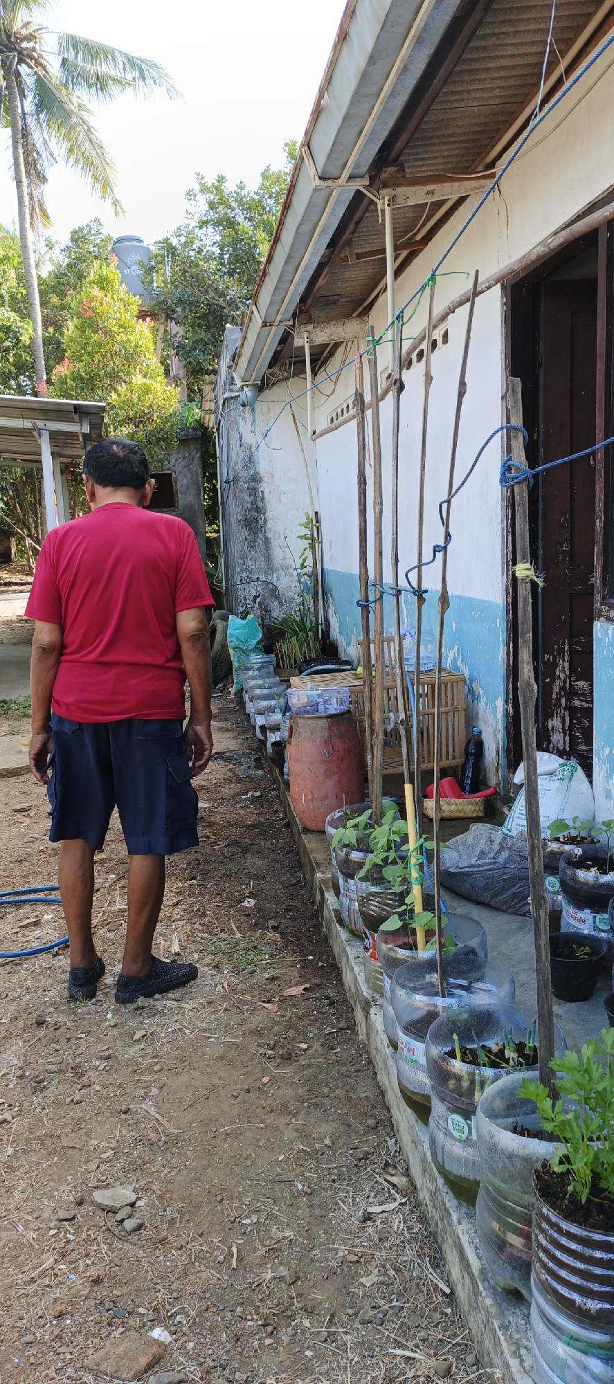 The image shows a man wearing a red t-shirt and dark blue shorts standing in an outdoor area in Moyudan, Indonesia. He is facing away from the camera, looking towards a row of plants in plastic bottles arranged along a concrete ledge. Behind the plants is a weathered white building with blue trim. The ground is covered in dirt and small stones. In the background, there are trees and a palm tree. The overall scene depicts a simple, perhaps residential, outdoor space with evidence of gardening.
