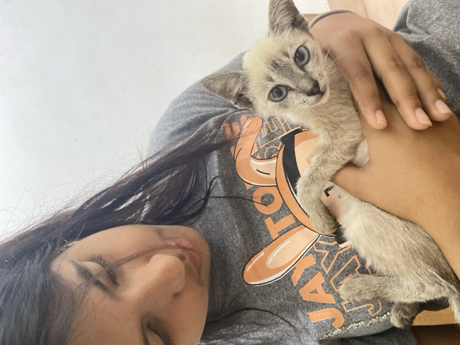 A fair-skinned woman with long, dark hair lies with her eyes closed. She wears a gray T-shirt adorned with a banana design. Cradled in her arms is a kitten with blue eyes and a light gray coat. The kitten looks directly at the camera.