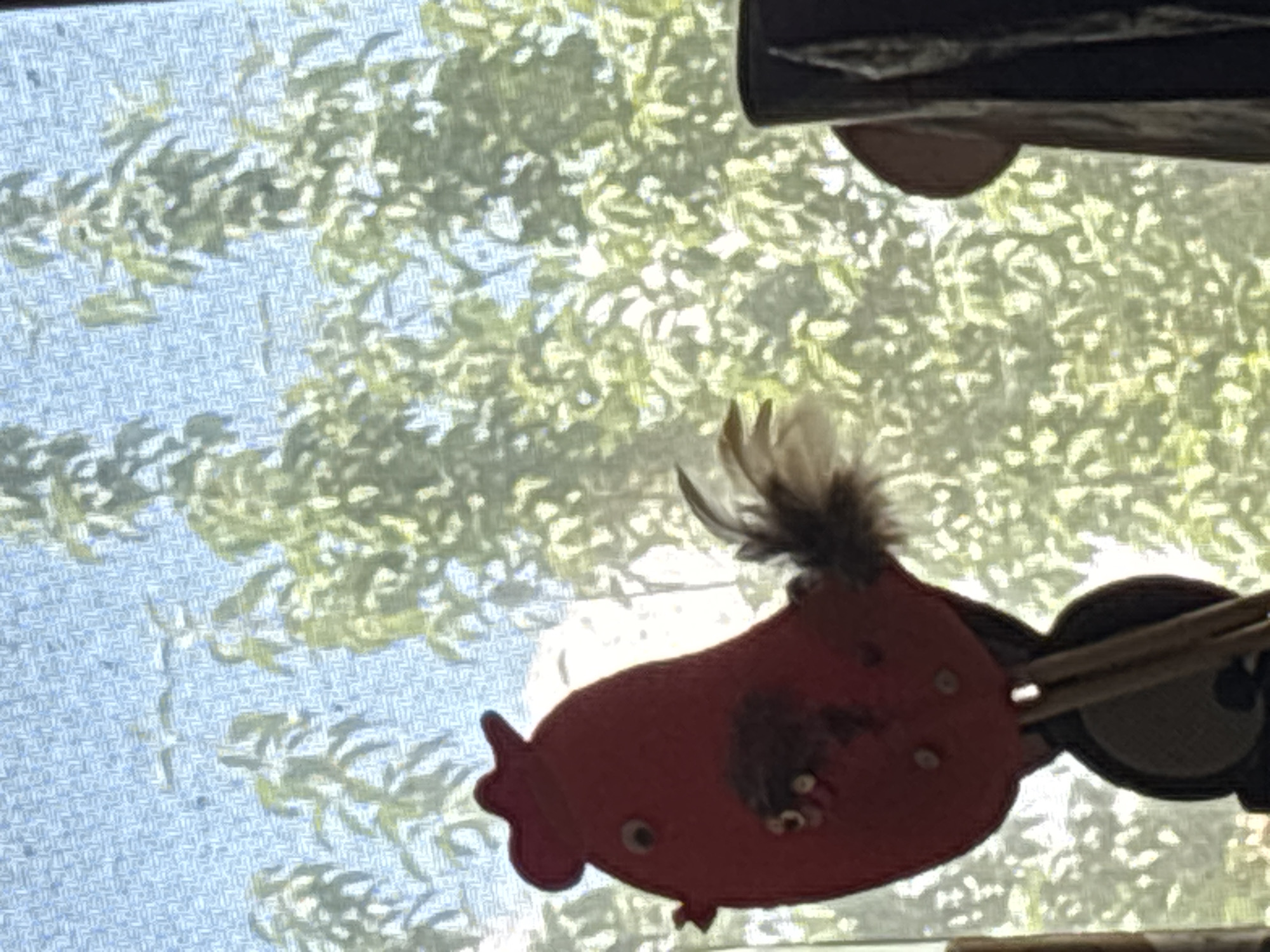 This is a close-up, eye-level photograph of a red, felt chicken puppet with googly eyes, a brown feather tail, and some decorative buttons. The puppet is attached to sticks, suggesting it is a puppet for hand manipulation. It is positioned in front of a window with a sheer, patterned curtain that diffuses the light from the outdoor environment. Through the curtain, a lush green foliage of trees is visible, indicating an outdoor setting with abundant vegetation. The overall lighting suggests it is daytime, possibly a sunny day, with the sunlight filtering through the window and plants. There is no indication of the city of Enevo, Bulgaria in the image itself.