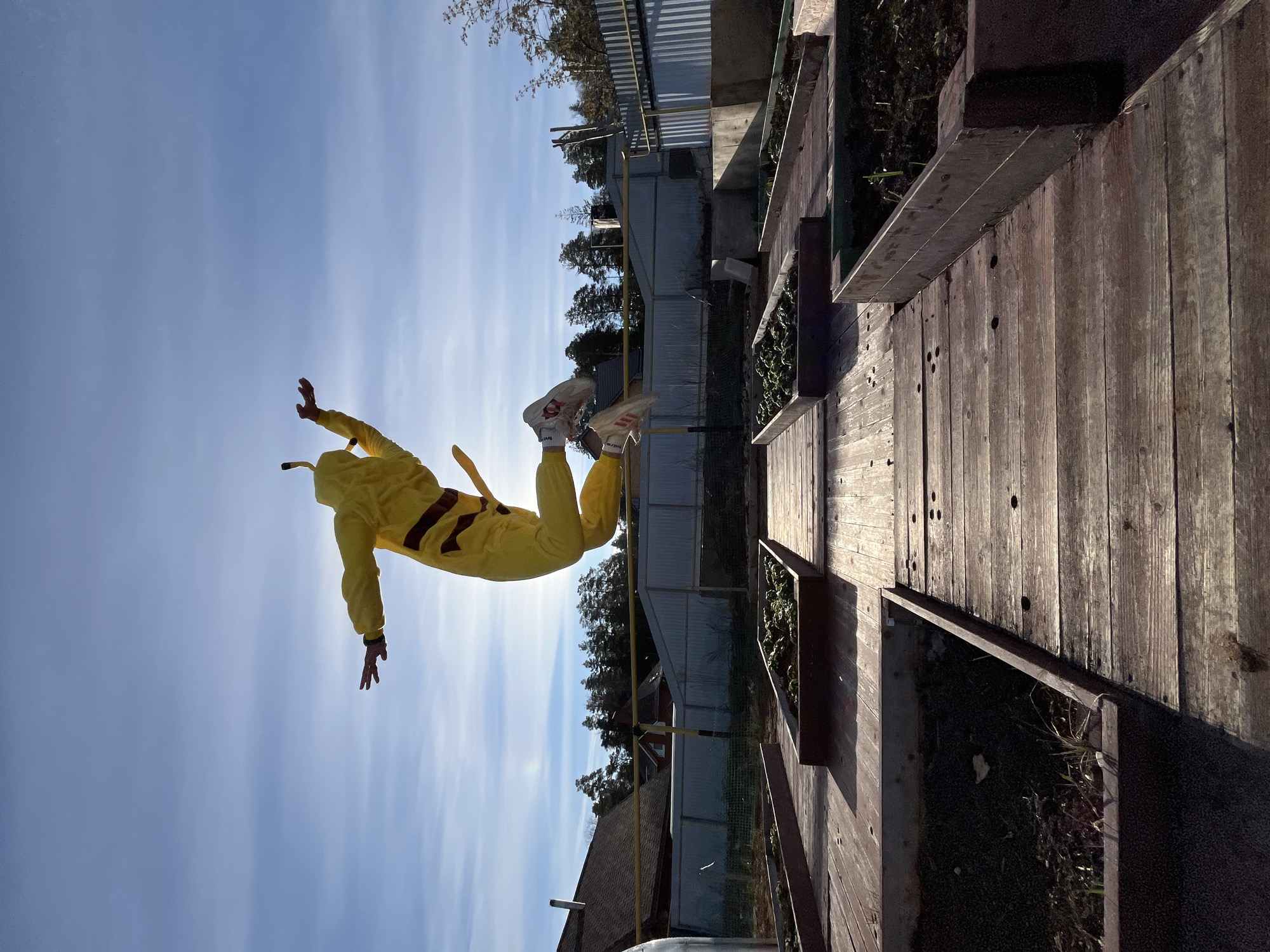 The image, corrected to an upright orientation, depicts a person in mid-air, suspended against a bright blue sky. The individual is wearing a distinctive yellow jumpsuit with brown horizontal stripes on the back, resembling a Pikachu or bumblebee costume, complemented by white athletic shoes. Their body is positioned horizontally, with arms and legs outstretched, suggesting an energetic jump, fall, or acrobatic maneuver. The sun is behind the person, creating a strong backlight that illuminates the edges of their form and casts a bright glow across the sky, which features scattered wispy clouds.
To the right, a wooden deck or walkway is visible, lined with several rectangular planter boxes filled with vibrant green plants. In the background, a landscape of tall coniferous trees, possibly pines, can be seen, along with various structures including corrugated metal and chain-link fences, and parts of a building's roof. A yellow pipe or railing also extends across the mid-ground.
The scene takes place outdoors on a clear, sunny day, likely during the late morning or early afternoon. The setting, with its blend of wooden constructions, cultivated plants, trees, and fences, suggests a garden, backyard, or recreational area in a residential or semi-rural environment, consistent with the provided location context of Chaikovsky, Russia. There is no visible text in the image.