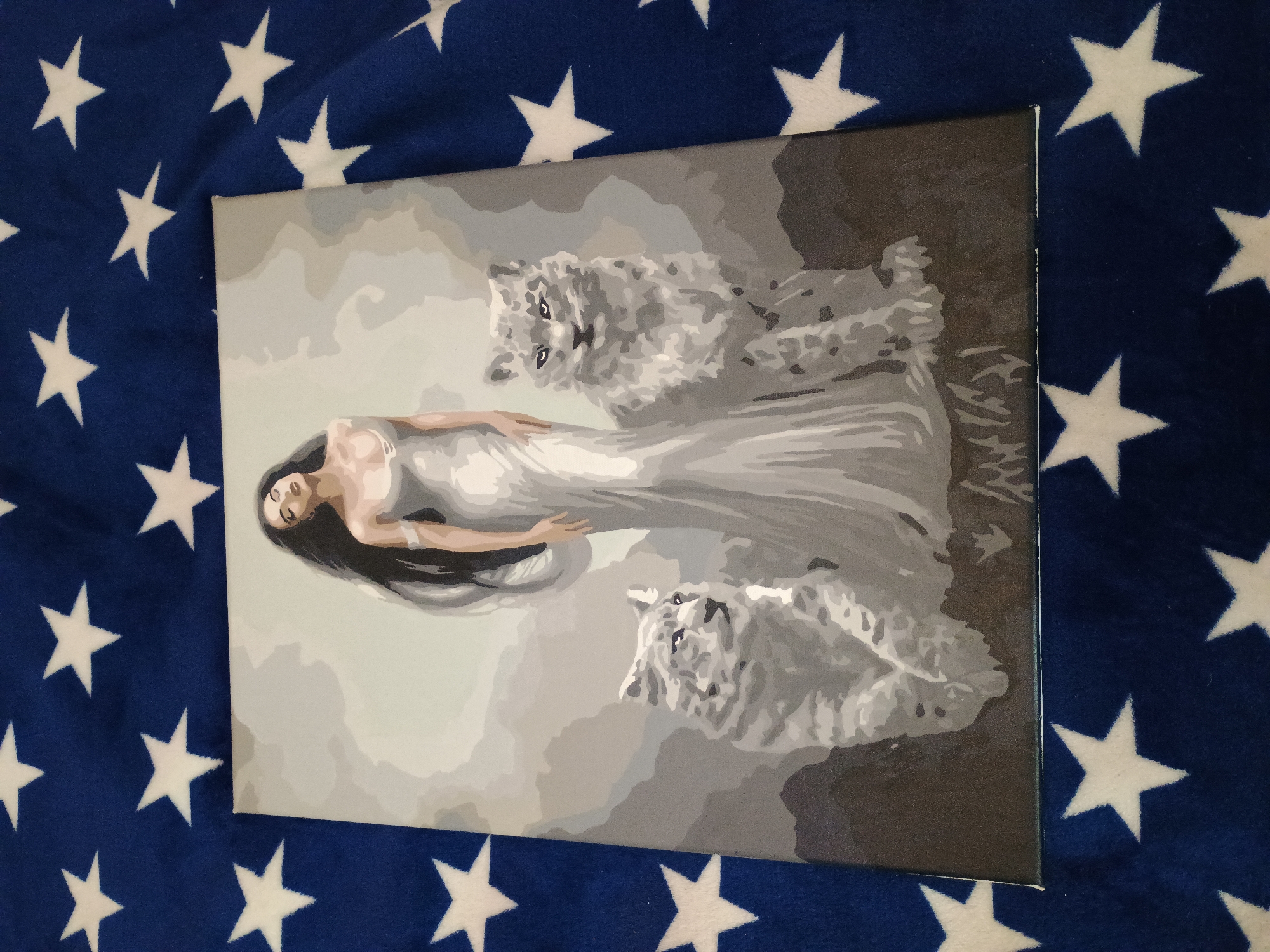 The image displays a painting of a woman with long dark hair wearing a flowing white gown, standing between two snow leopards. The painting has a monochromatic color scheme, primarily using shades of gray and white. The background is abstract and misty. The painting is placed on a blue blanket adorned with white stars. The provided image does not contain any information about the city of Zaporizhzhia, Ukraine, or any specific location within it.