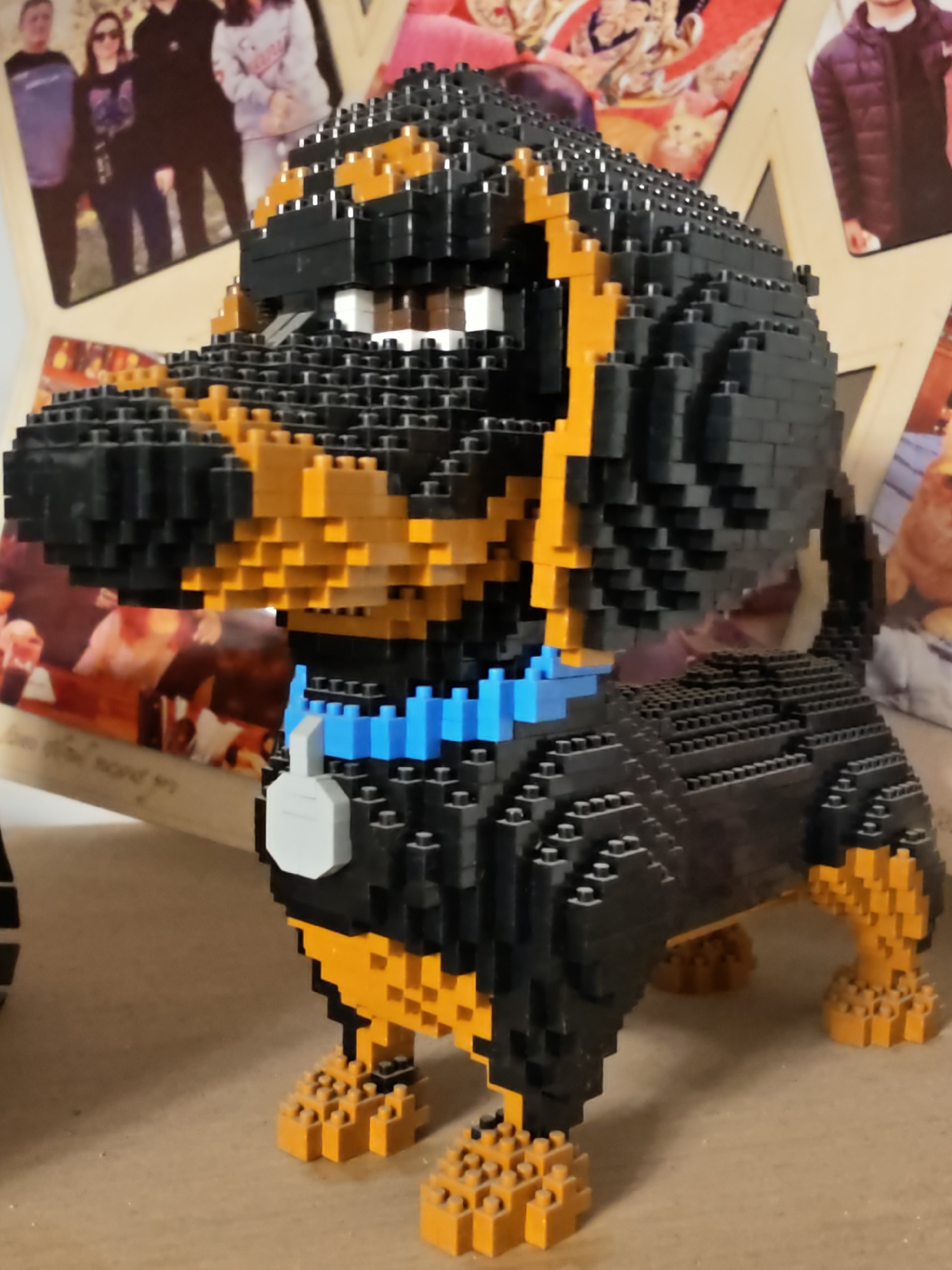 A black and tan dog figurine made of building blocks stands on a surface. The dog has a blue collar with a gray tag. In the background are several framed photographs of people. The scene is indoors, likely a home environment. There is no information in the image to indicate the location in Petah Tikva, Israel.