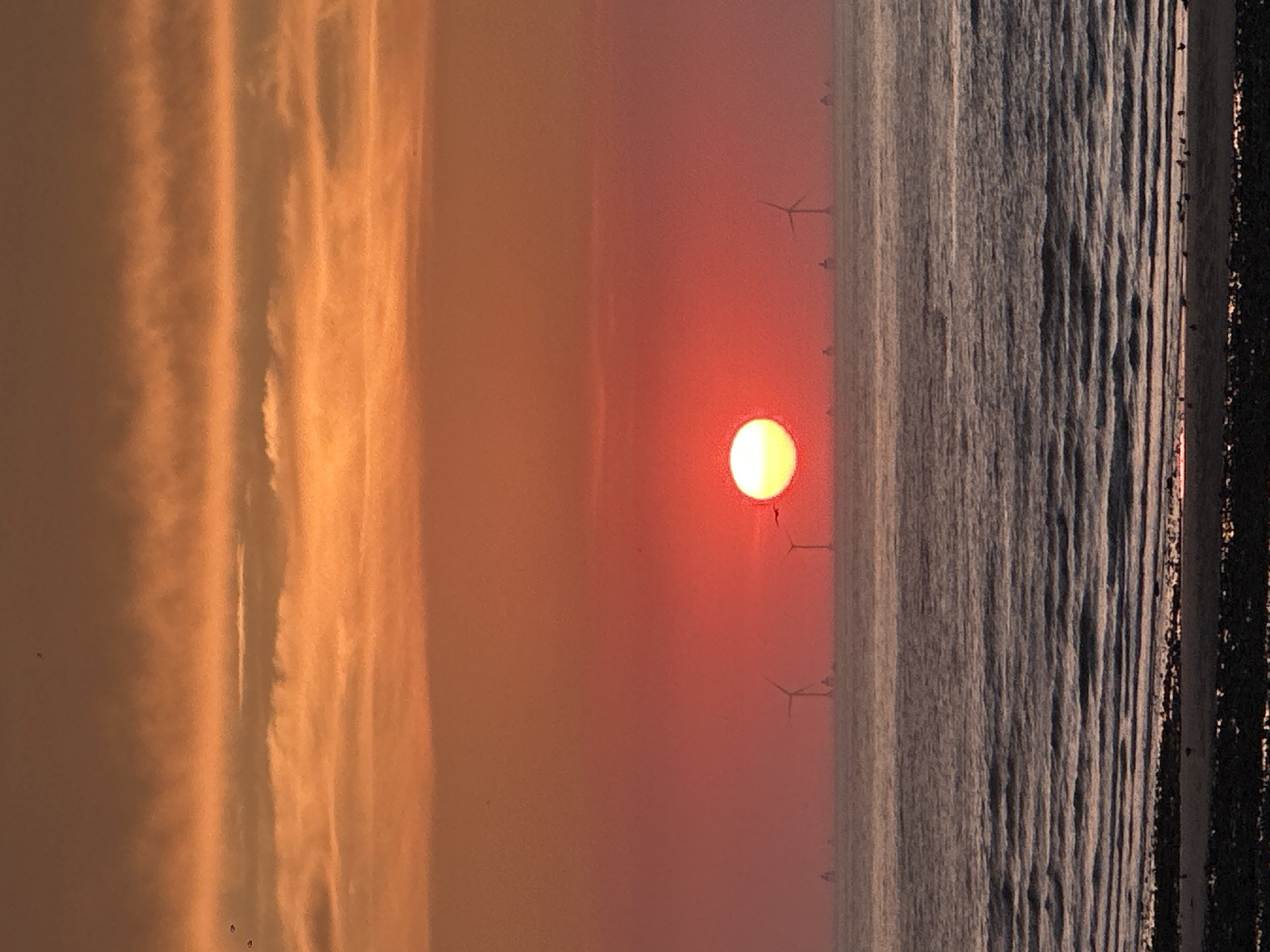 The image depicts a vibrant sunset over the sea, likely from the coast of Le Tréport, France, given the presence of offshore wind turbines. The sky is a gradient of fiery orange and deep red, with horizontal cloud formations. The sun, a bright, luminous orb, is positioned centrally, casting a warm glow. In the distance, numerous wind turbines stand tall against the horizon, interspersed with what appear to be distant ships or buoys. The sea is calm, with gentle waves rolling towards the shore. The foreground shows a rocky beach, wet from the receding tide, with several small birds scattered along the waterline. The overall scene is serene and atmospheric, capturing the beauty of the natural environment at dusk.