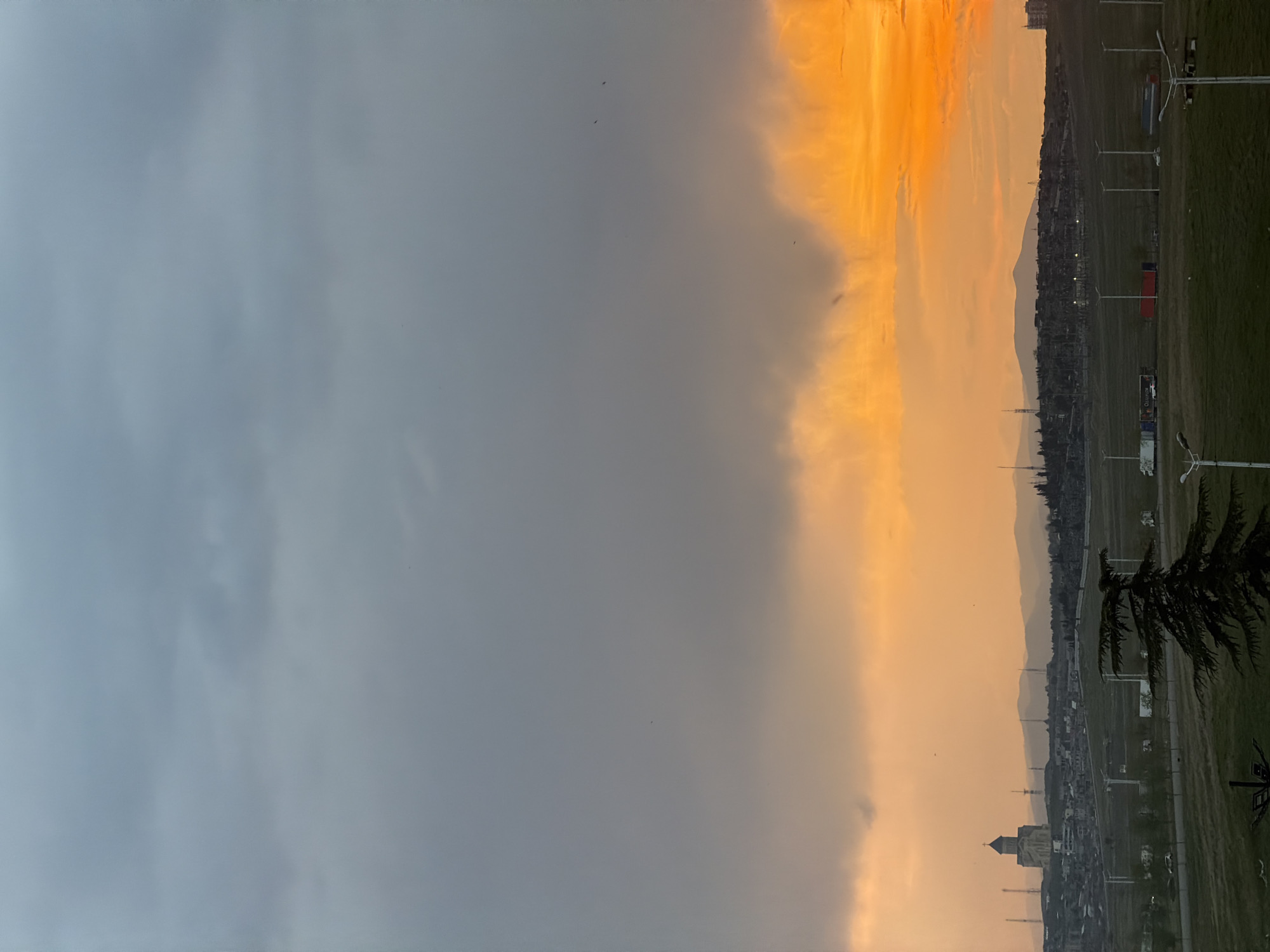 The image depicts a view of Tbilisi, Georgia, at what appears to be sunset or twilight. To the left, the sky is overcast with grey clouds. The right side of the image shows a horizon illuminated by golden light, indicating the setting sun. There is a visible city skyline, with silhouettes of buildings and mountains in the distance. Streetlights and infrastructure are visible along the roadside on the right, suggesting this view is from an elevated position overlooking a part of the city. A tree branch is seen in the right corner, slightly obscuring the view. The foreground consists of grass. The atmosphere suggests a calm and quiet moment in the city, contrasted by the interplay of light and shadow across the sky and cityscape.
