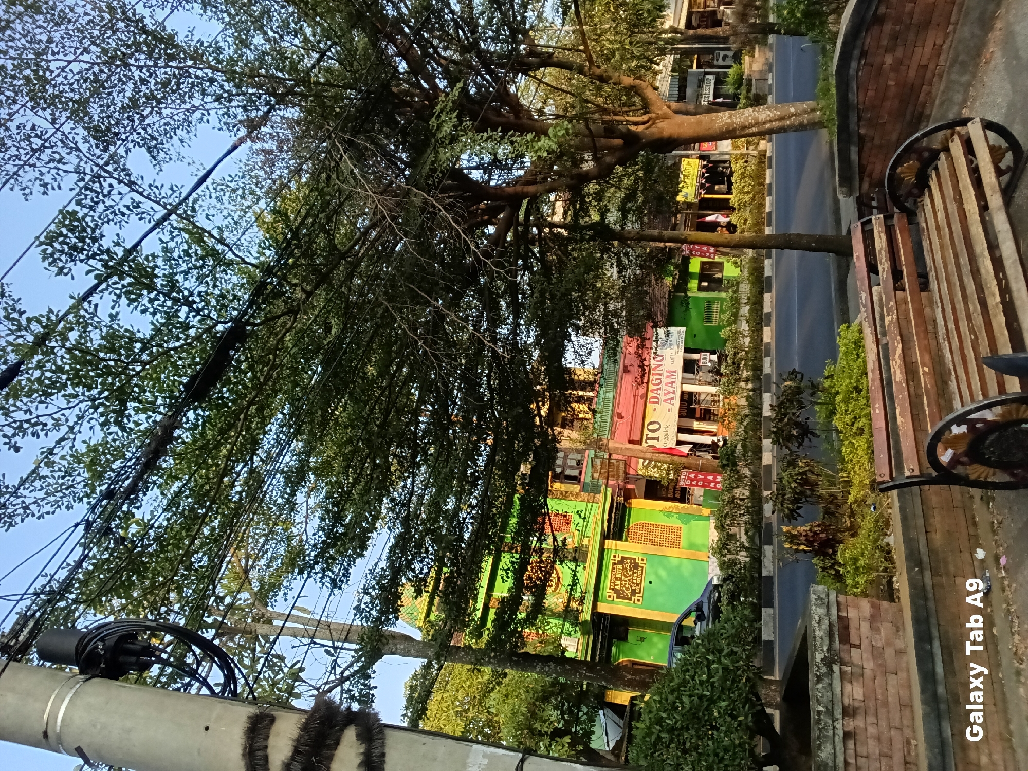 The image depicts a street scene in Kelutan, Indonesia, characterized by vibrant, brightly colored buildings lining the roadside, predominantly green and red. A large tree with dense foliage dominates the foreground on the right, its branches casting shadows. In the background, a power pole with numerous cables is visible on the left. Several other trees and bushes are scattered throughout the scene. A black car is parked near one of the buildings. In the immediate foreground, a wooden park bench with ornate metal legs sits on a paved area, bordered by brickwork. The sky is clear and blue, suggesting daylight. Several signs are visible on the buildings, with some text appearing to be in Indonesian.
