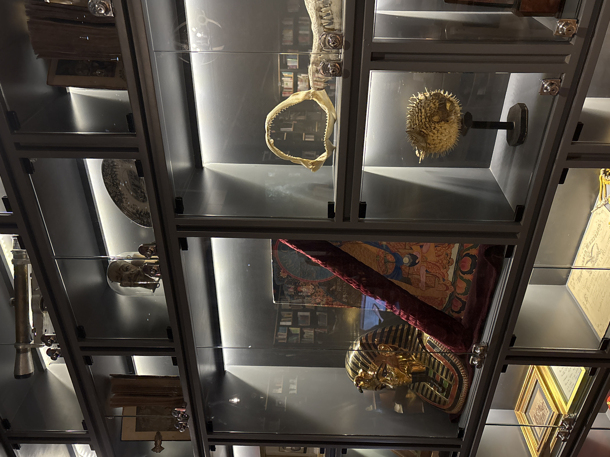 The image depicts a display case in a museum in Puebla, Mexico, containing various artifacts and exhibits. The display case is made of glass and metal framing, showcasing several shelves with different items.
On the top shelves, there is a shark jaw, a pufferfish mounted on a stand.
In the middle shelves, there is a golden pharaoh mask placed on a patterned fabric alongside a book with Egyptian-themed illustrations.
Other shelves include a telescope, old books, and documents. The display case is illuminated with internal lighting, creating reflections on the glass surfaces. The overall environment suggests a museum setting with an emphasis on historical and natural history artifacts.