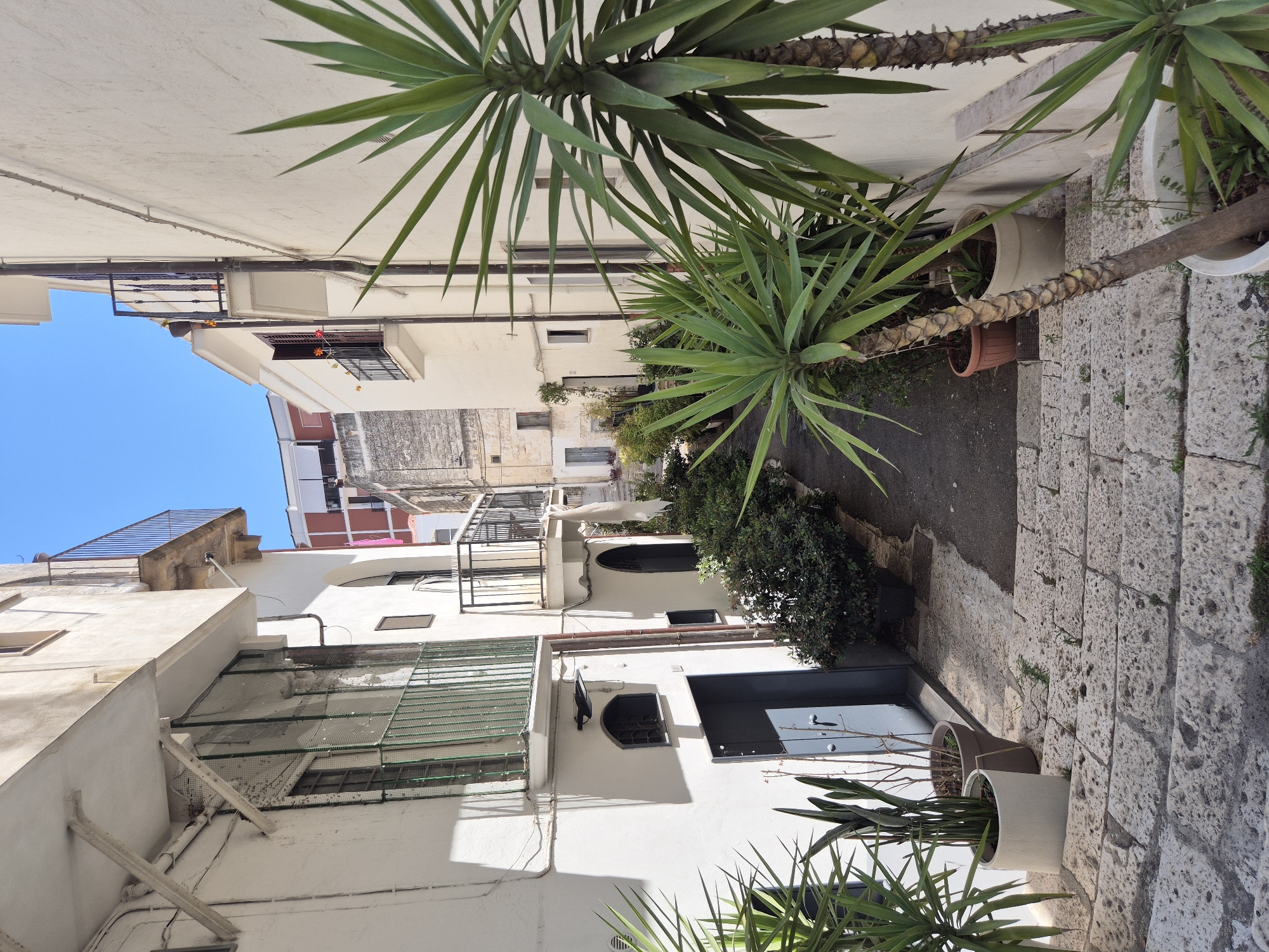 The image depicts a narrow cobblestone alleyway in Laterza, Italy, flanked by whitewashed buildings. The alley descends, with stone steps in the foreground partially covered by small green plants. Potted plants, including Yucca trees and other green foliage, are strategically placed along the pathway and on the steps, adding a touch of nature to the urban scene.

The buildings feature balconies with black railings, some with white fabric draped over them. Windows are visible, some with green metal grates. One building has a blue door ajar. The architecture suggests a Mediterranean style, characterized by its white facades and simple design. The sky above is a clear, bright blue, indicating a sunny day. The overall impression is one of a quiet, sun-drenched Mediterranean street.