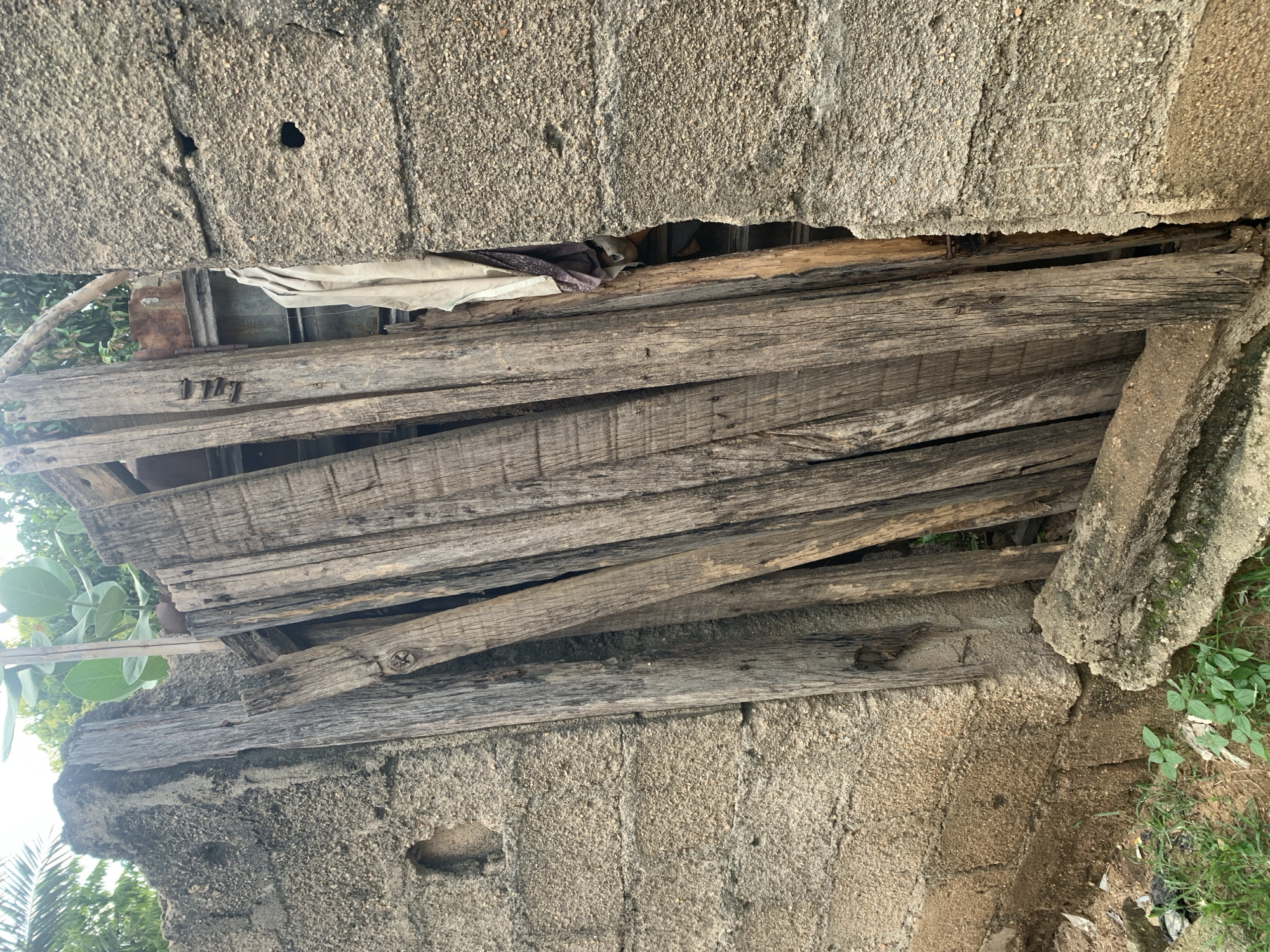 This is an outdoor, eye-level shot of a weathered, makeshift structure. A wall, constructed of concrete blocks and rough concrete, dominates the right side of the frame. The wall is textured and shows signs of age and wear, with a few small holes and crevices visible. Leaning against this wall is a collection of old, rough-hewn wooden planks. These planks vary in width and length, with their surfaces marked by age, weathering, and visible grain. They are propped up at an angle, forming a barrier or screen. Some nails are visible protruding from the wood. To the left of the planks, the concrete wall continues, also showing similar textures and imperfections. At the bottom left, there is a patch of green vegetation and some debris, including a broken piece of concrete. In the background, through a gap between the wall and the planks, there is a hint of more greenery and what appears to be a piece of fabric hanging. The lighting suggests it is daytime, with diffused natural light. There are no people or animals present in the image.