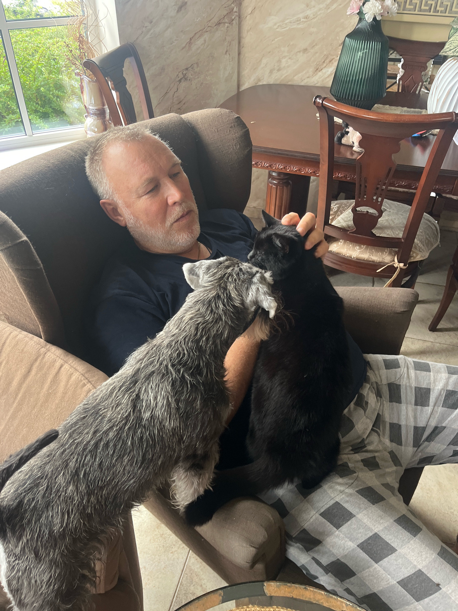 A middle-aged Caucasian male with graying hair and beard is seated in a plush, brown armchair, his eyes partially closed. He is wearing a dark blue t-shirt and gray plaid pajama pants. He is petting a black cat, which is perched on his lap and chest, rubbing against his head. To the left of the black cat, a small gray terrier mix dog is standing on its hind legs, reaching up to the male's face with its front paws. The dog has a wiry coat. The background shows a well-lit room with a large window on the left, revealing green foliage outside. A wooden dining table with chairs is visible further back, along with decorative items. The overall impression is of a relaxed domestic scene. The image does not contain information about the location in Vladimirovka, Russia.