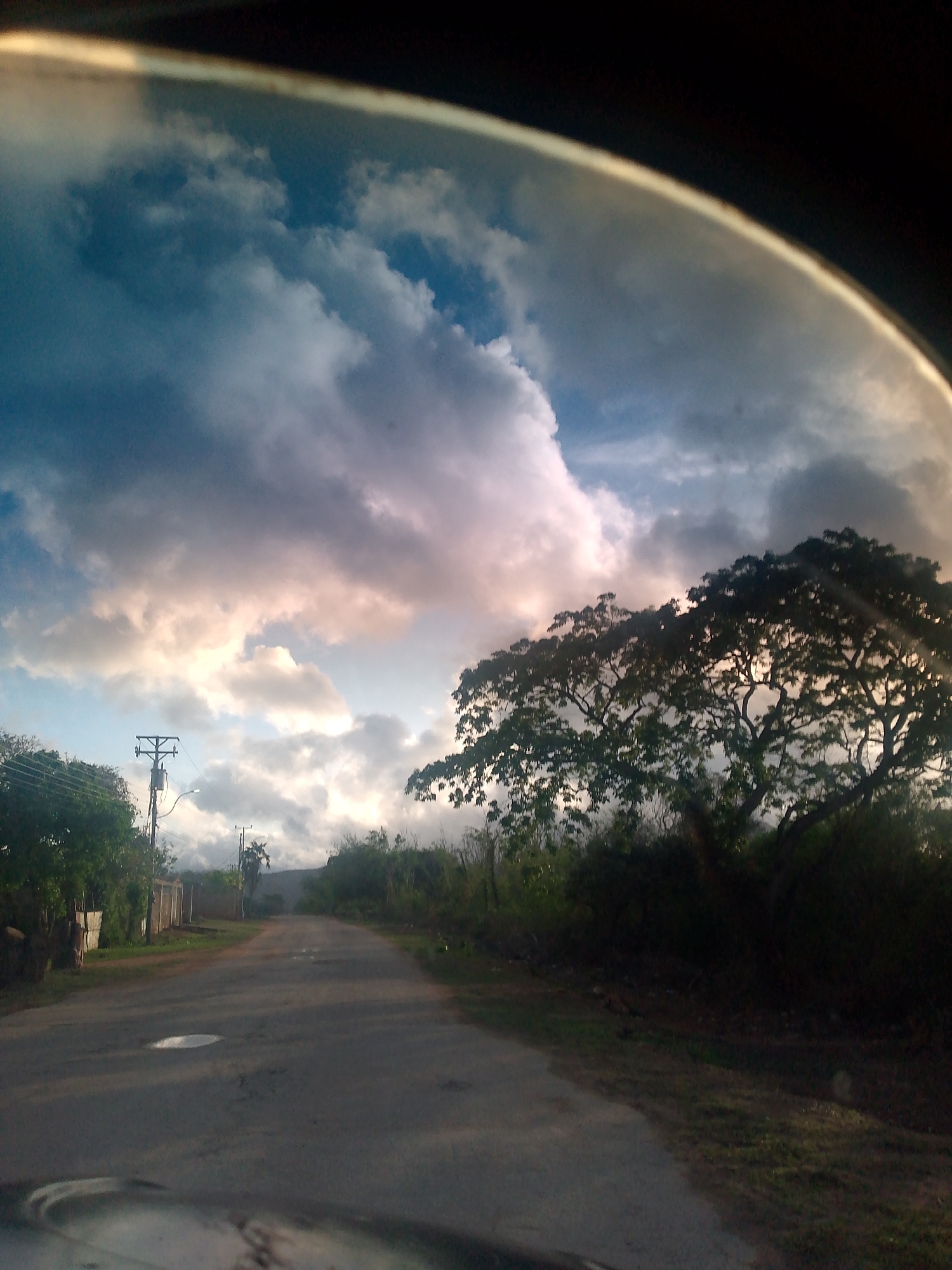 The image depicts a road in the city of Pedro González, Venezuela, curving slightly to the right and leading into a hazy distance. The sky above is filled with dramatic clouds, ranging from dark, stormy grey to soft, pinkish hues illuminated by sunlight. A large, leafy tree with a sprawling canopy dominates the right side of the frame, its branches silhouetted against the bright sky. On the left side of the road, there are trees, vegetation, and a utility pole with electrical wires. The road surface appears weathered, with visible patches and puddles reflecting the sky. The foreground shows a portion of a vehicle's interior, suggesting the image was taken from a car. The overall impression is one of an approaching storm or the aftermath of one, with a dramatic and atmospheric sky over a rural-looking landscape.