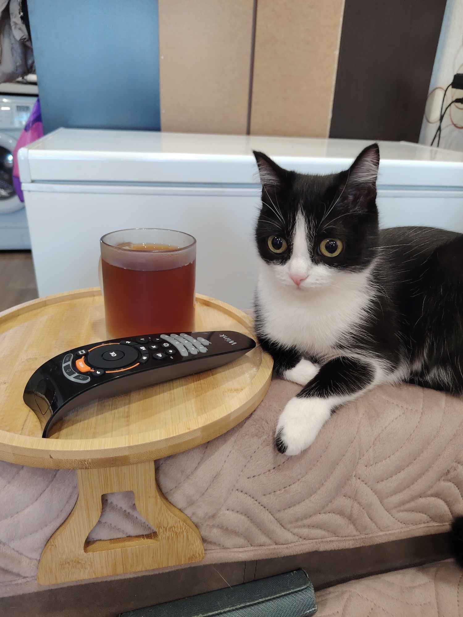 A black and white cat is lying on a pink blanket next to a small, round, wooden table. On the table is a clear glass of a dark liquid, and a black remote control with orange and gray buttons. Behind the cat and table is a white chest freezer. Behind the freezer are light brown panels, a washing machine, and a white wall.
