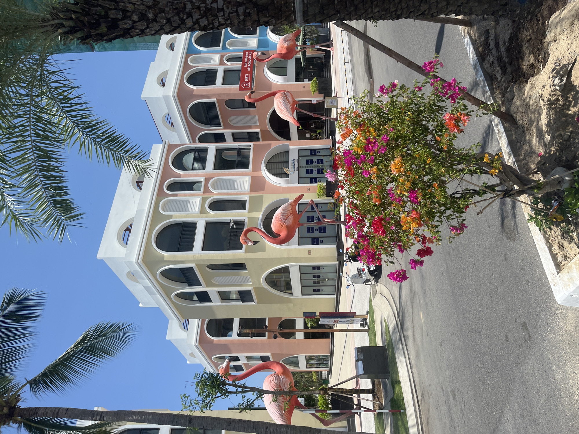 This image captures a street scene in the city of Nha Trang, Vietnam, likely in a modern commercial or residential development. The foreground is dominated by a vibrant flowering bush with numerous pink, orange, and red blooms, planted in a sandy area adjacent to a paved road. Several large, pink flamingo sculptures are strategically placed along the walkway bordering the street, acting as decorative elements.
Behind the flamingoes, a row of multi-story buildings stands, characterized by their pastel-colored facades – yellow, pink, and light blue. These buildings feature distinctive arched windows and balconies, giving them a Mediterranean or colonial architectural style. Several businesses are visible on the ground floor, indicated by signage and glass storefronts. One sign reads "RETI" and "SAN GIAO DICH BAT DONG SAN 4.0". Another sign displays "LIBRA NHA TRANG".
A white scooter and a black scooter are parked on the side of the road near the buildings. Palm trees are present in the scene, with large fronds framing the top of the image and one prominent palm trunk on the right side. The sky is clear and bright blue, suggesting a sunny day. The overall impression is one of a clean, well-maintained urban environment with a playful and tropical aesthetic. There are no people clearly visible in the image, but the presence of parked vehicles suggests ongoing activity.